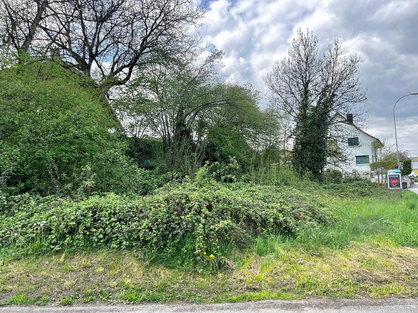 Le terrain à bâtir pour vos visions - Photo 2 sur 4