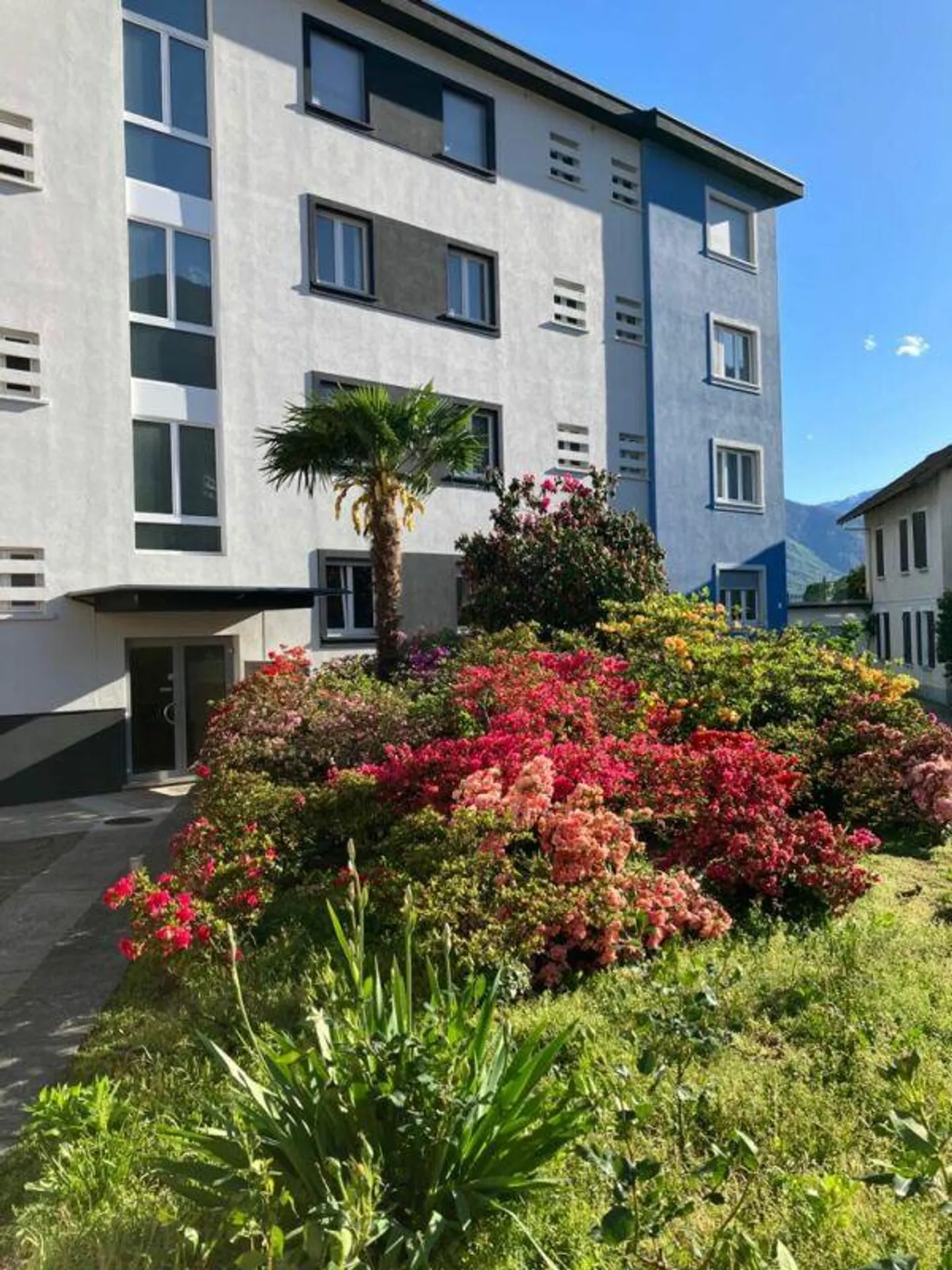 Grazioso appartamento 2.5 locali - Foto 1 di 7