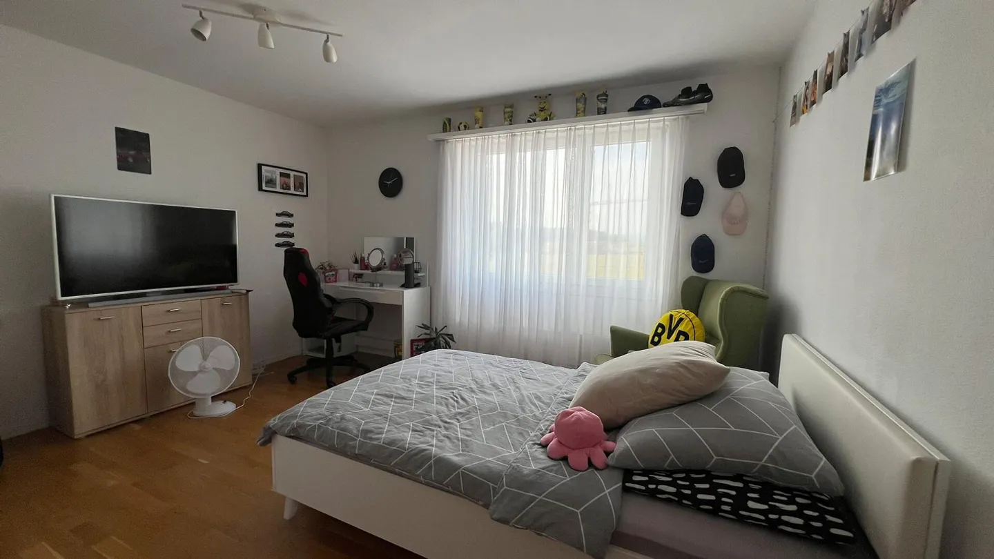 Casa 4½ locali modernizzata con grande giardino - Foto 8 di 13