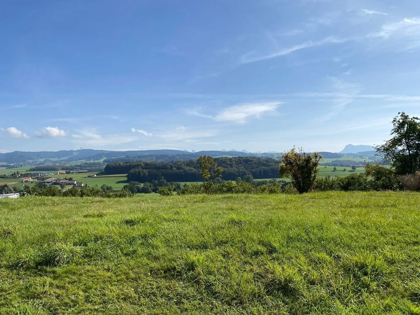 Appartamento di 2,5 locali al piano inferiore - Foto 8 di 8