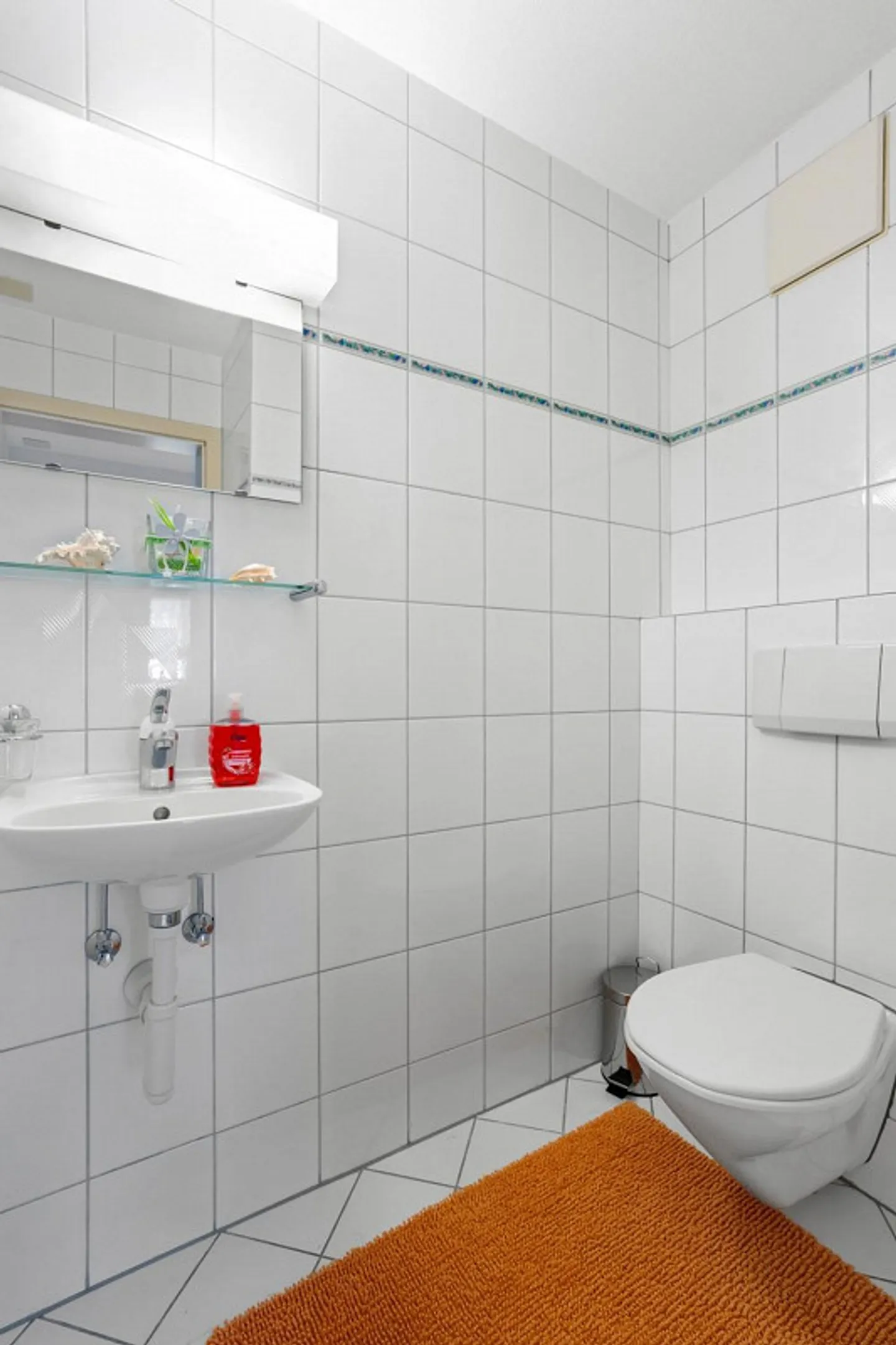 Spacious apartment with fireplace & panoramic view - centrally located in Widnau - Photo 10 of 15