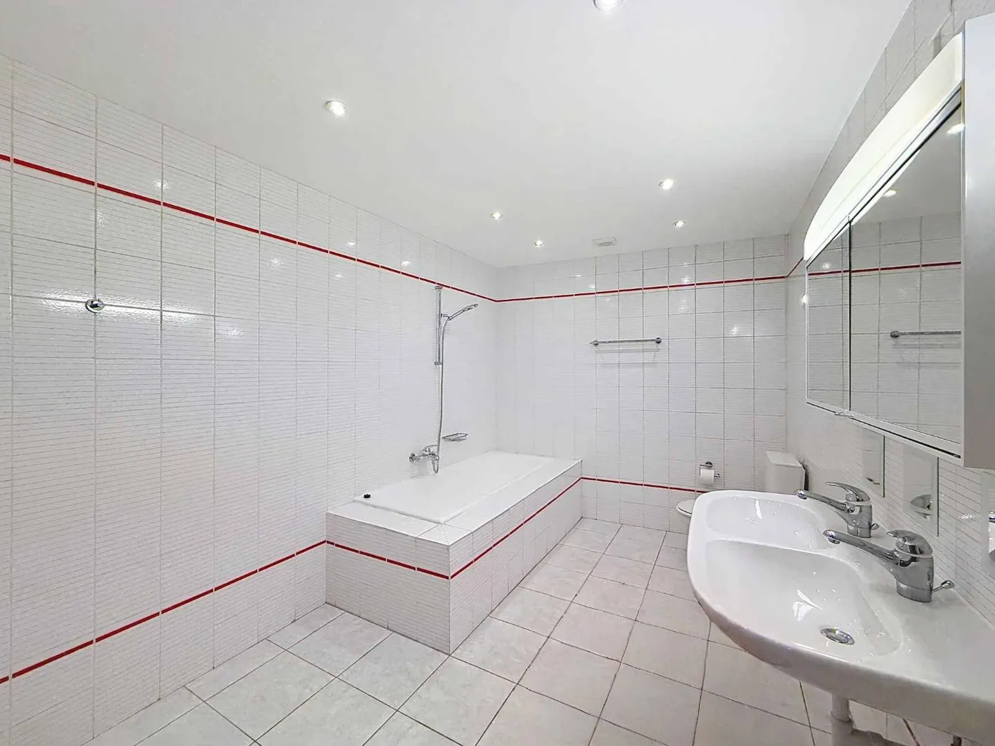 Magnificent renovated village house with charm, space and views of the Alps - Photo 12 of 13