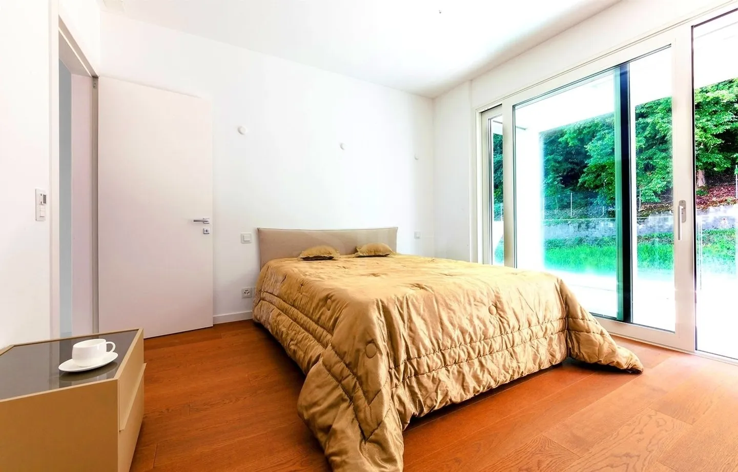 Luxurious 4.5-Room Penthouse with Pool in Paradiso - Photo 4 of 10