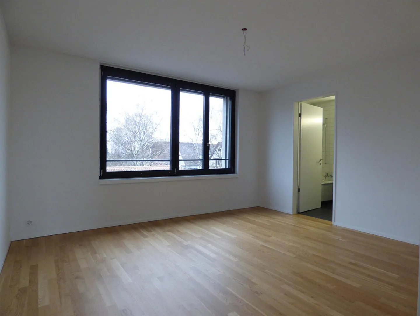 Beautiful living in Wollishofen - Quiet - Modern - Central! - Photo 4 of 7
