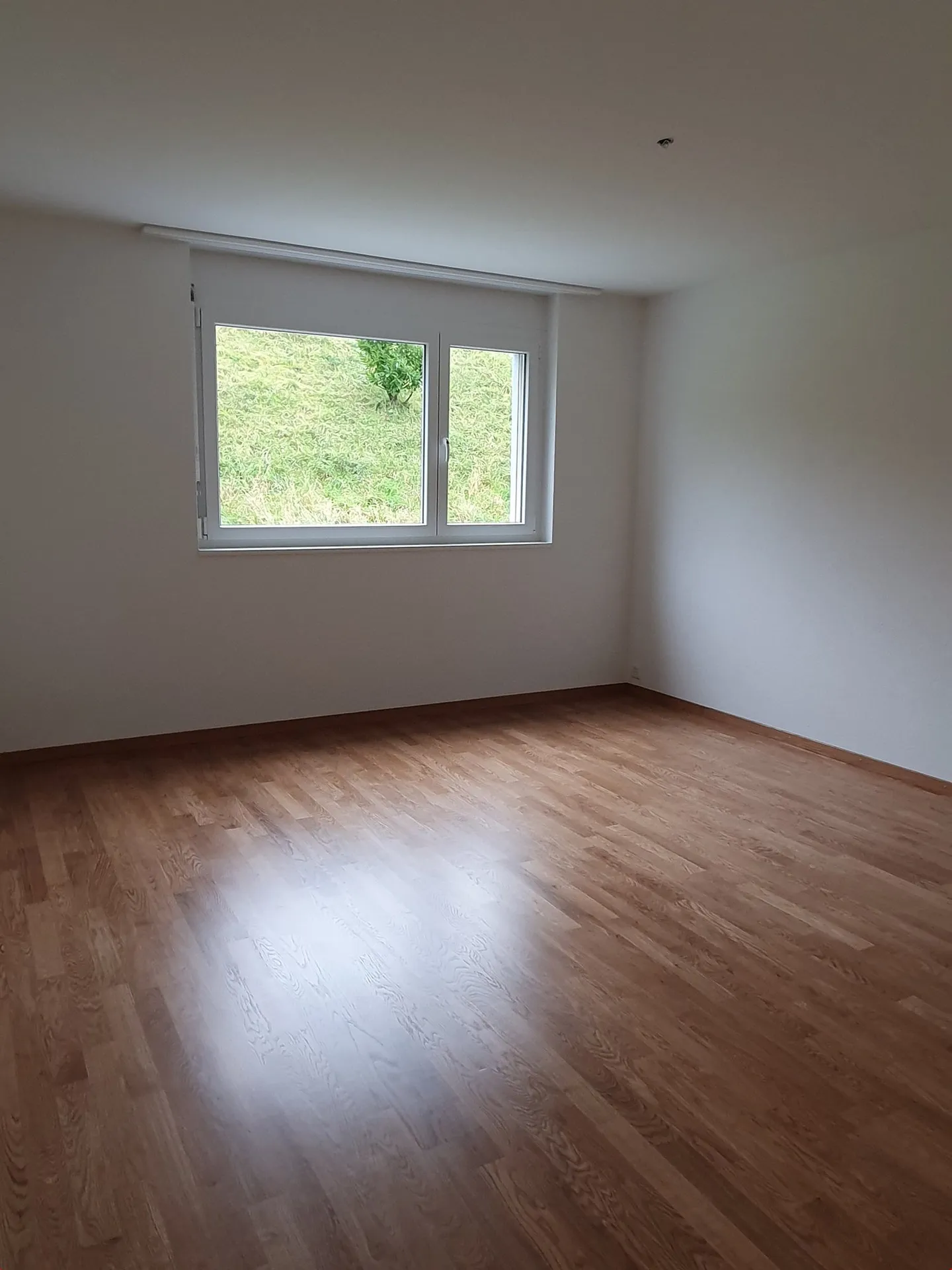 Modern Garden Apartment in Uttwil - Photo 3 of 11