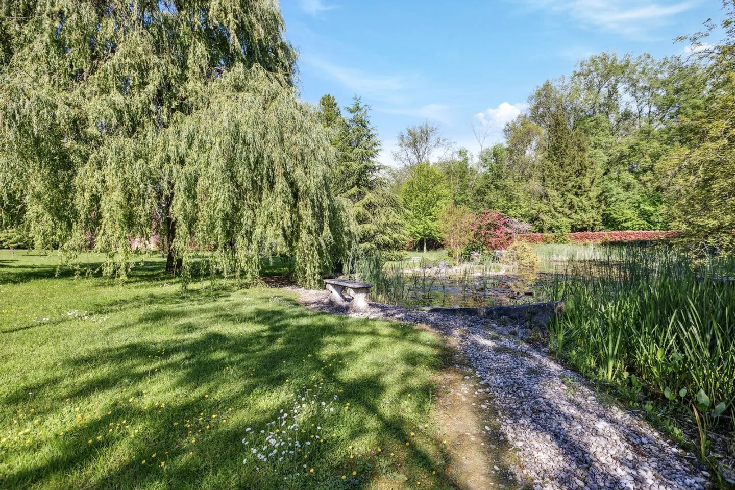 Villa in affitto - Foto 15 di 16