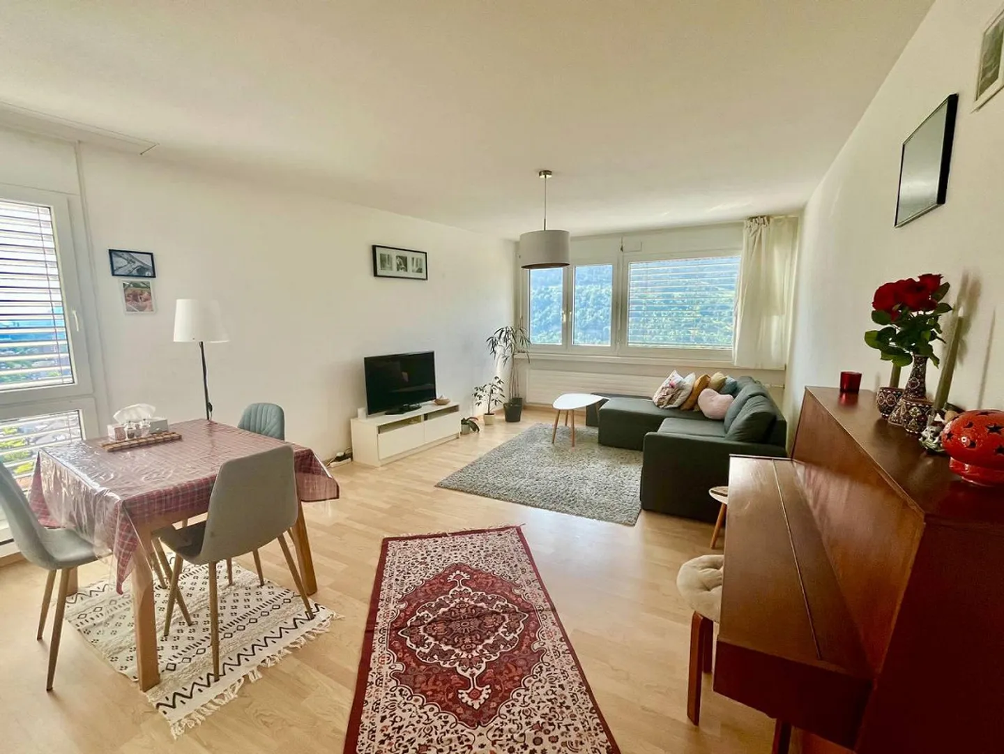 Charming 2.5-room fully furnished apartment with unique view over the Alps - Photo 3 of 8