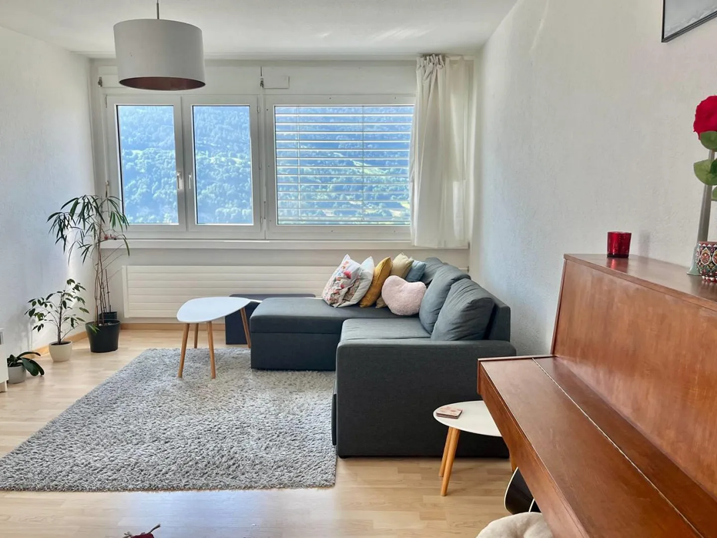 Charming 2.5-room fully furnished apartment with unique view over the Alps - Photo 7 of 8