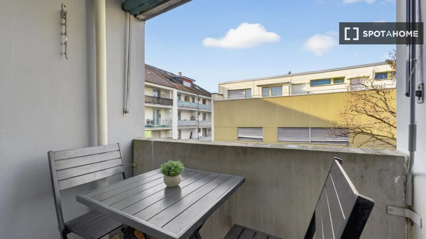 Charming Apartment in Zurich - Photo 5 of 8