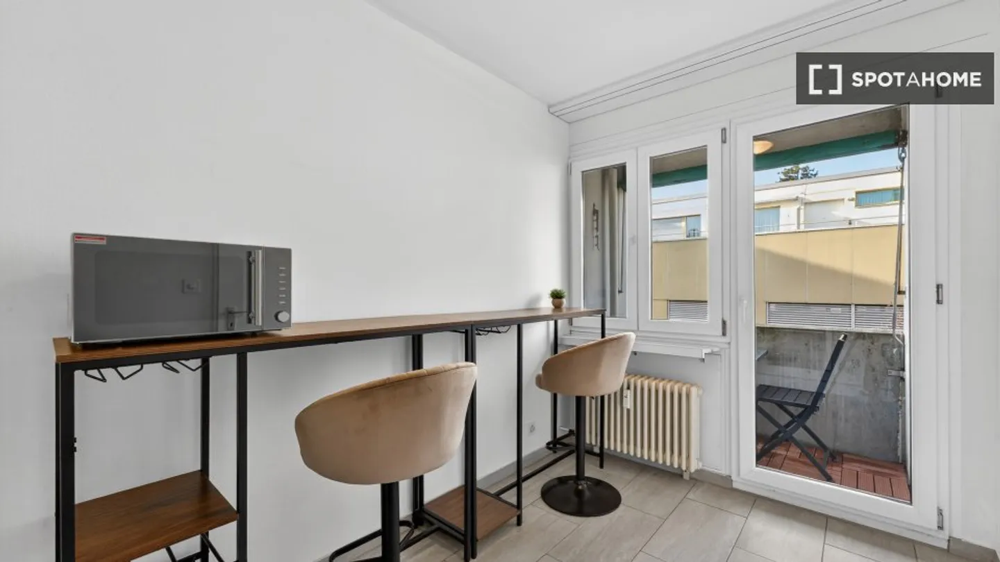 Charming Apartment in Zurich - Photo 6 of 8