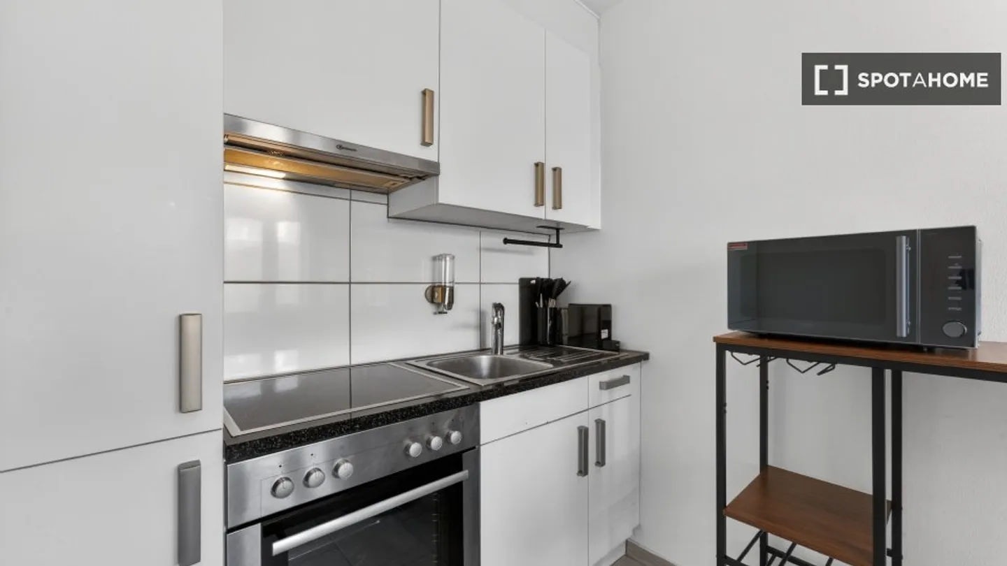 Charming Apartment in Zurich - Photo 7 of 8