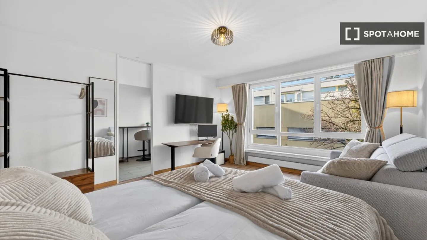 Charming Apartment in Zurich - Photo 8 of 8