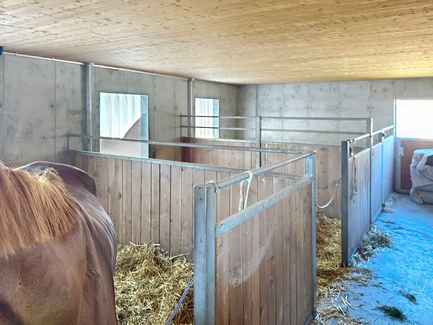 Agrarische Nutzung 4,5 Zimmer - Foto 7 von 12