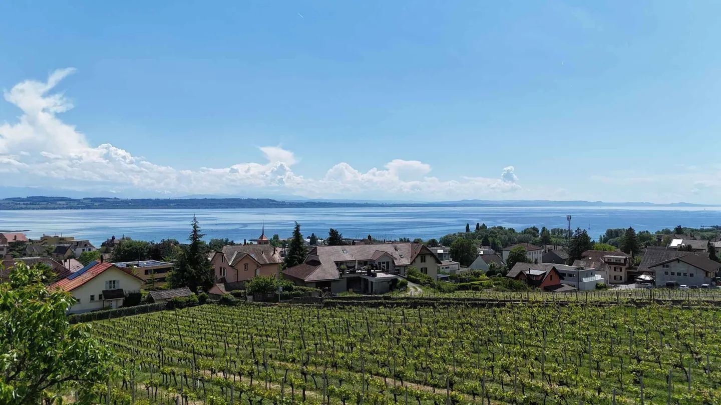Luxury villa in the heart of the vineyards with breathtaking lake view - Photo 6 of 13