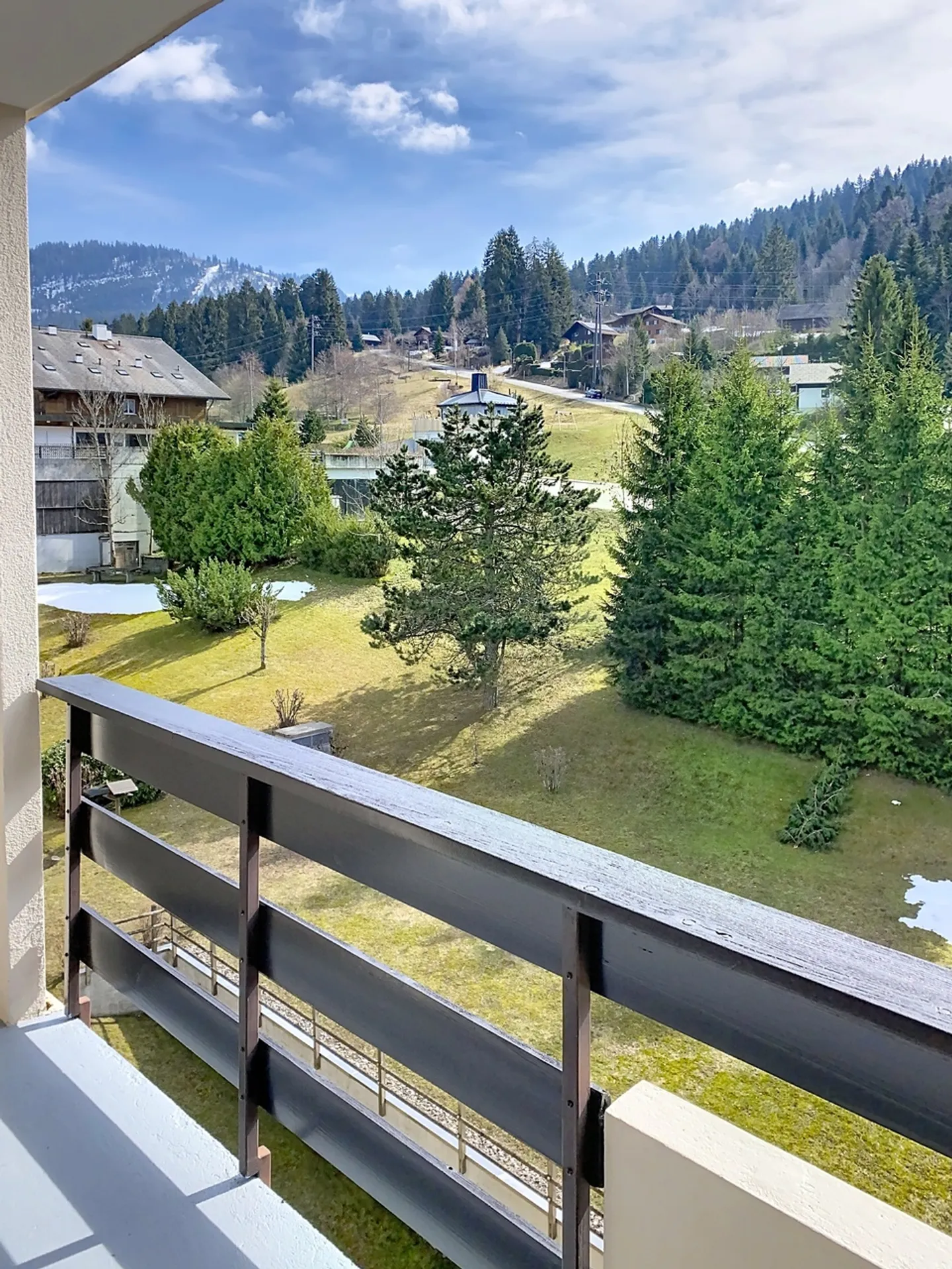 Just 2 Steps from the Slopes  Magnificent 2.5-Room Apartment Completely Renovated - Photo 8 of 9