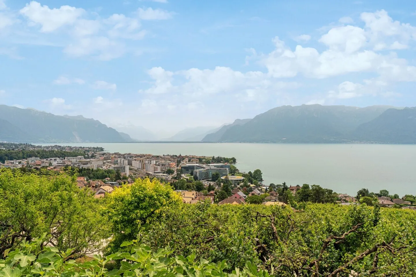 Between the green of the vineyards and the blue of the lake - Photo 10 of 13