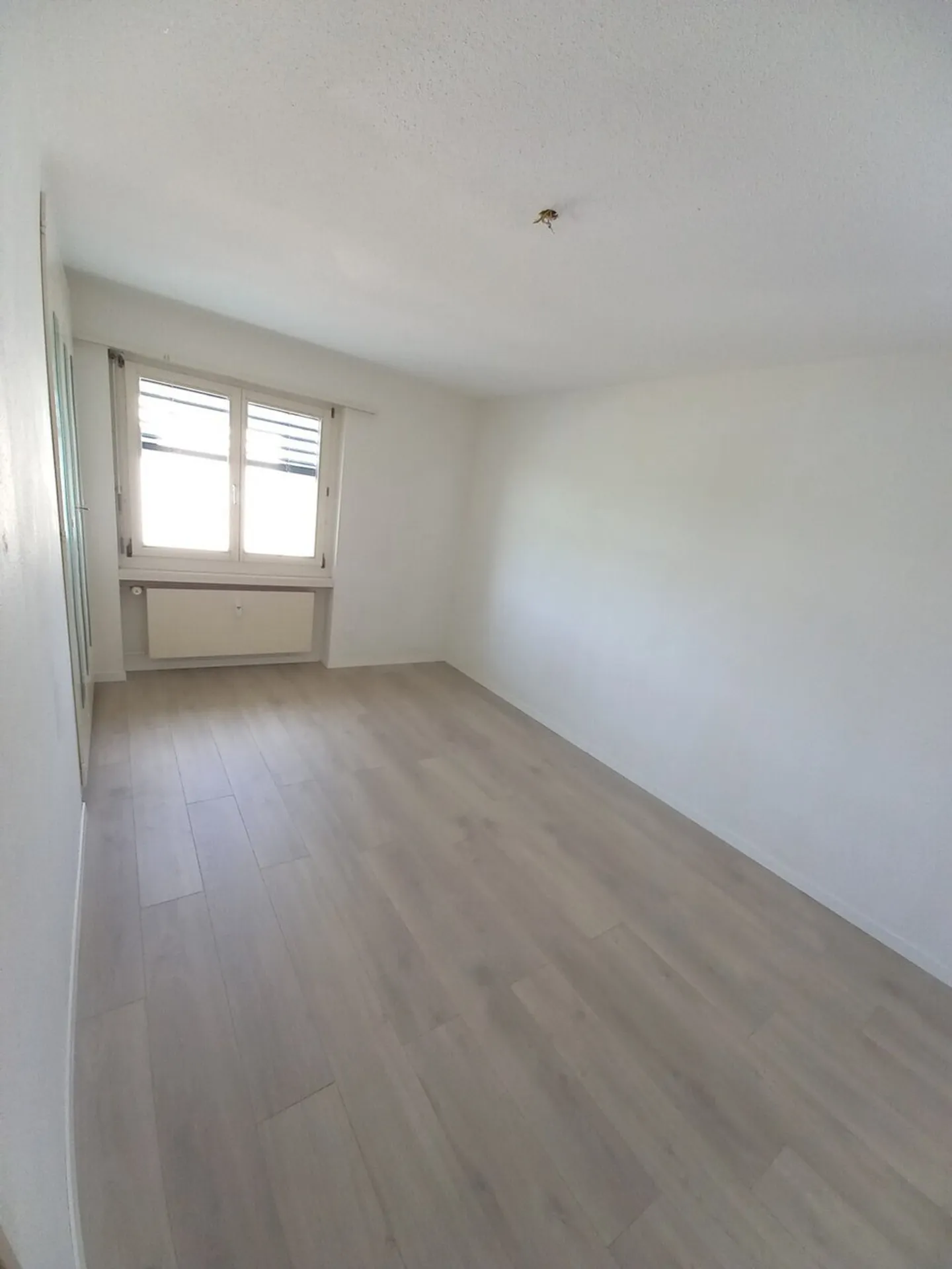 Freundliche Wohnung mit grüner Umgebung an ruhiger Lage! - Photo 4 sur 11