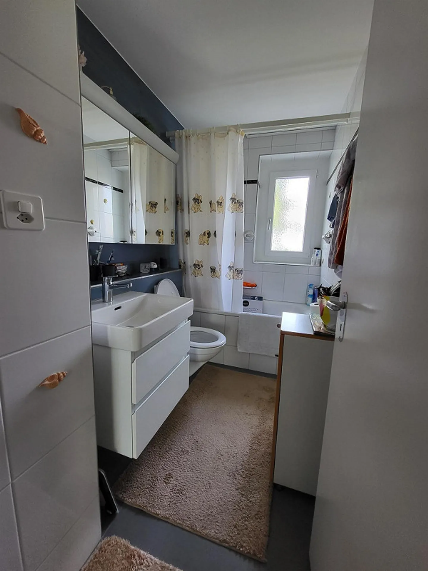 3.0 Room Apartment in Winterthur - Photo 4 of 10