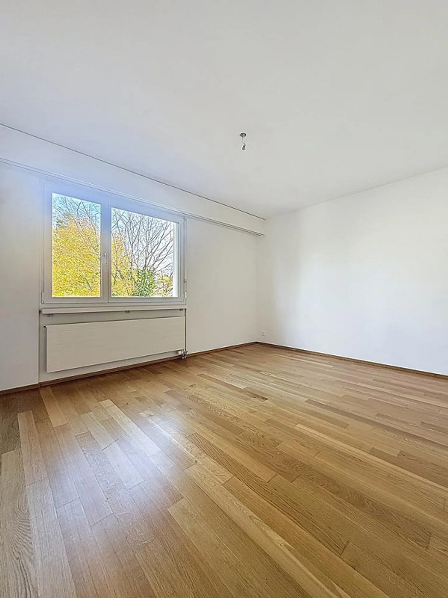 Cozy 3.5 Room Apartment Near City Center - Photo 5 of 8