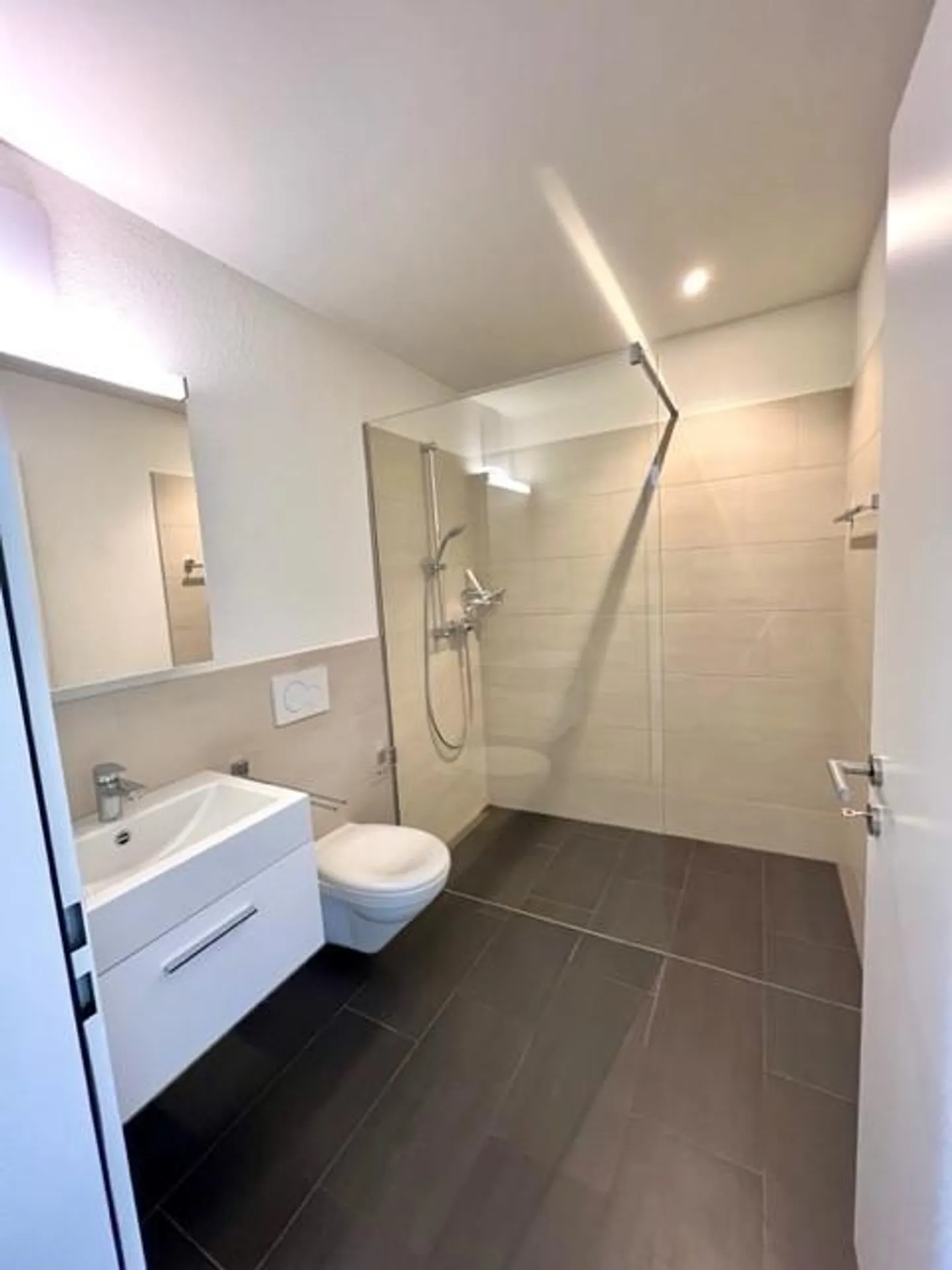 Modern Attic Apartment in Tagelswangen - Photo 4 of 9