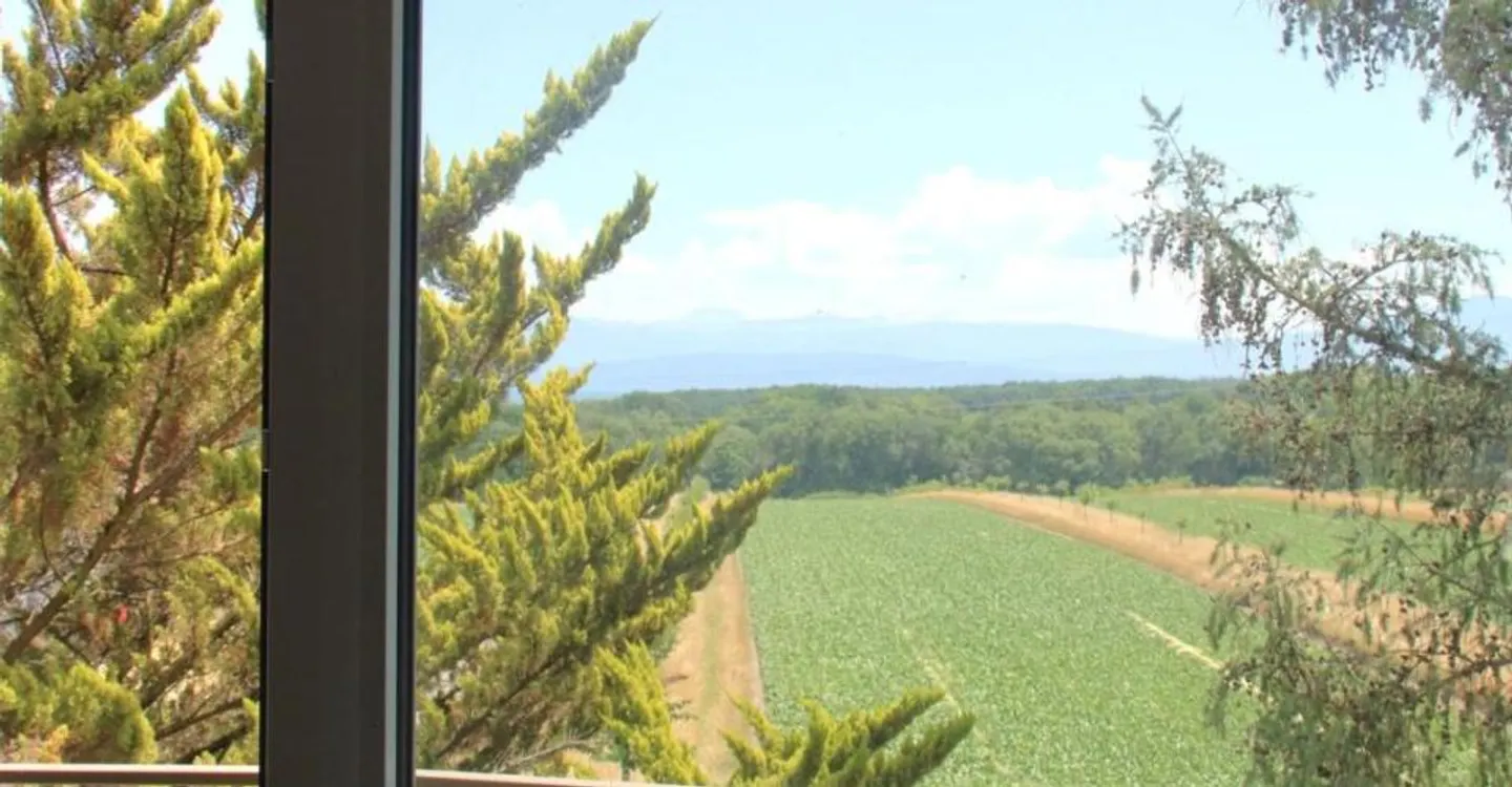 Magnifique appartement récent de 4.5 pièces aux combles à Eysins - Foto 5 di 9