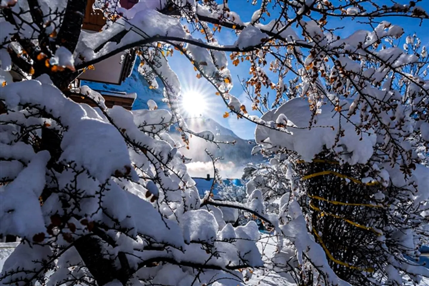 Appartement à vendre, Rotenegg (District d'Interlaken-Oberhasli, Suisse) - Photo 3 sur 18