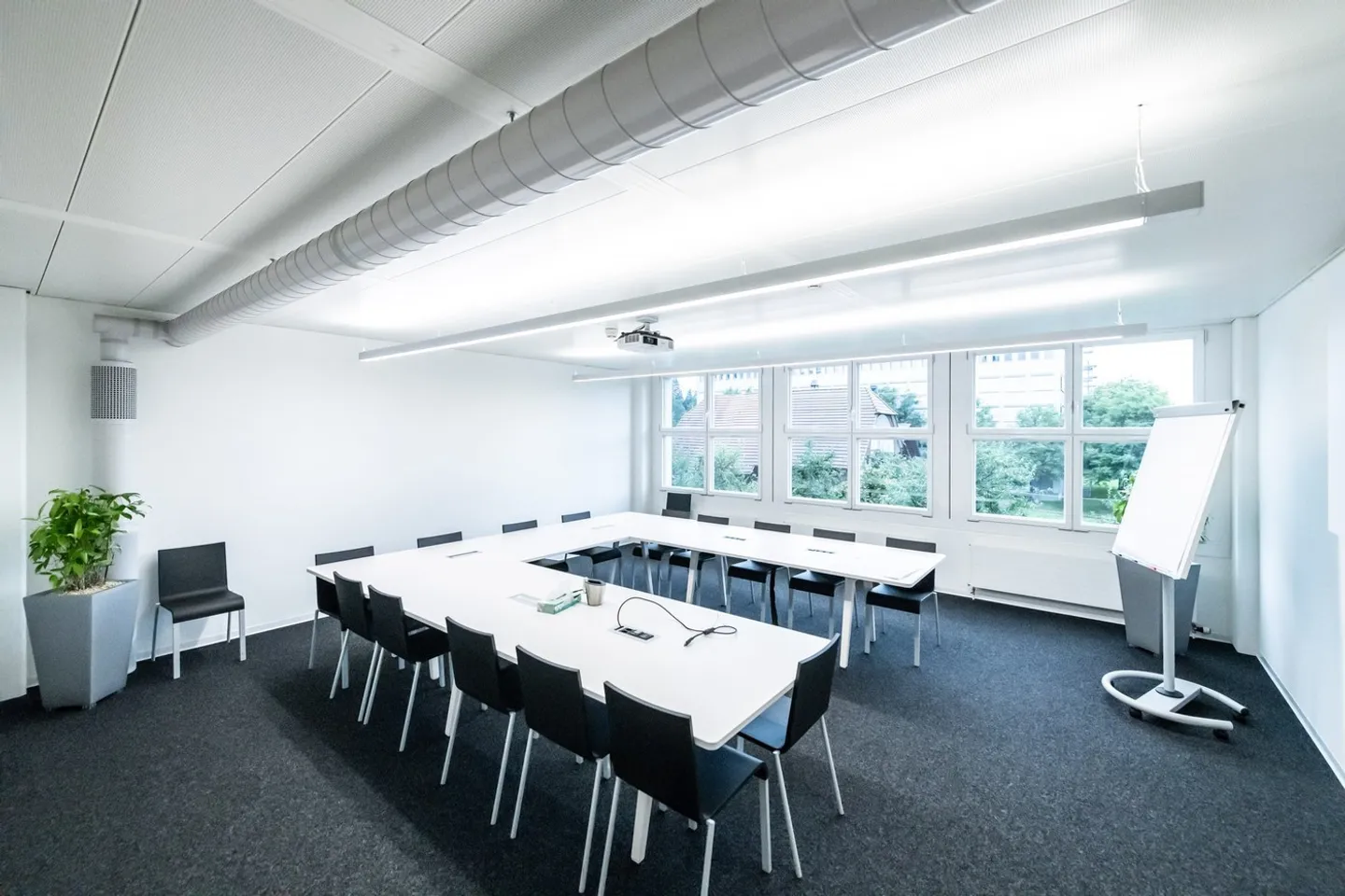 Top Preis-/Leistungsverhältnis! - Foto 5 von 8