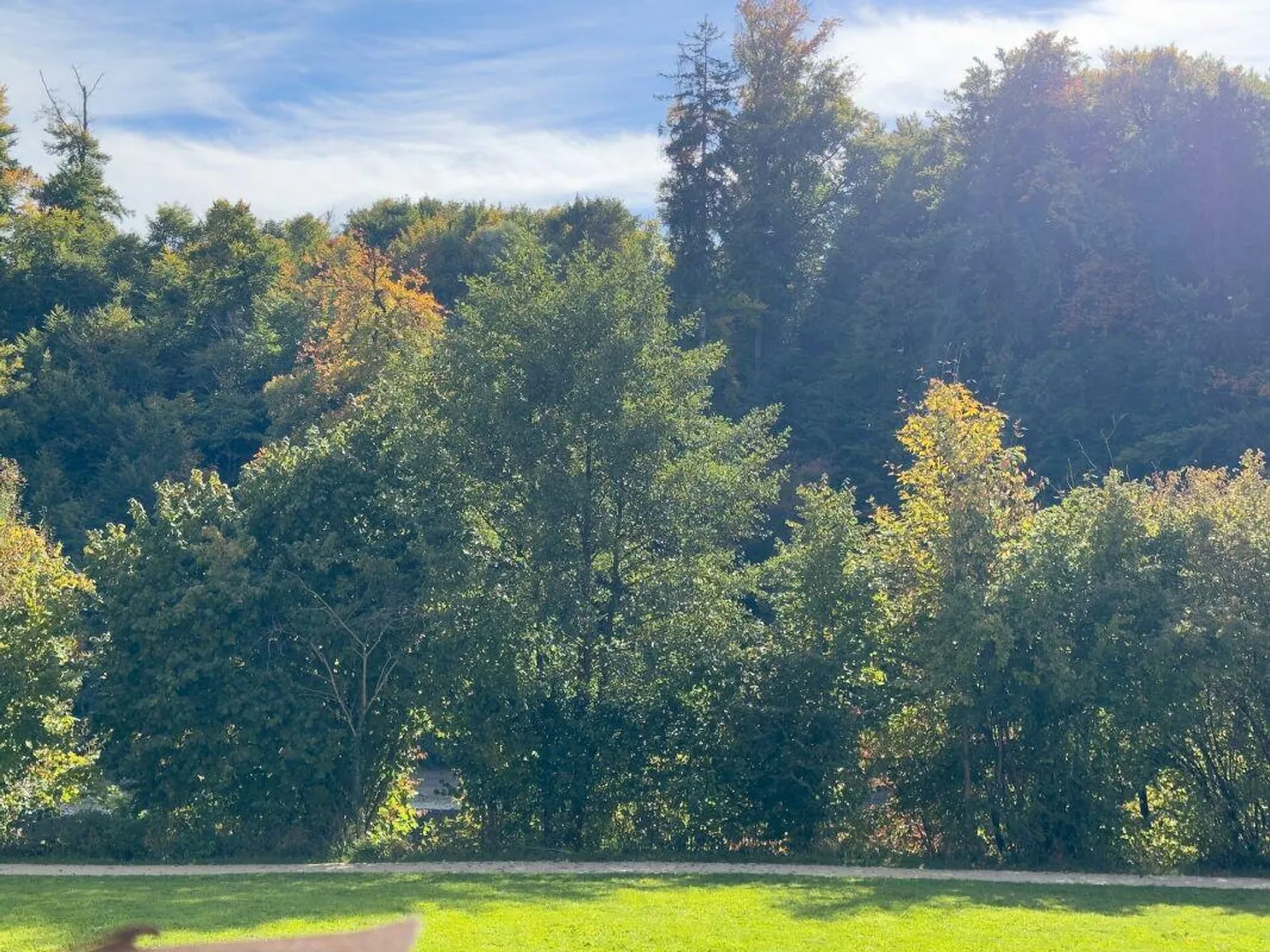 Condominium moderne de 5,5 pièces avec belle terrasse au bord de l'Aare - Photo 22 sur 24