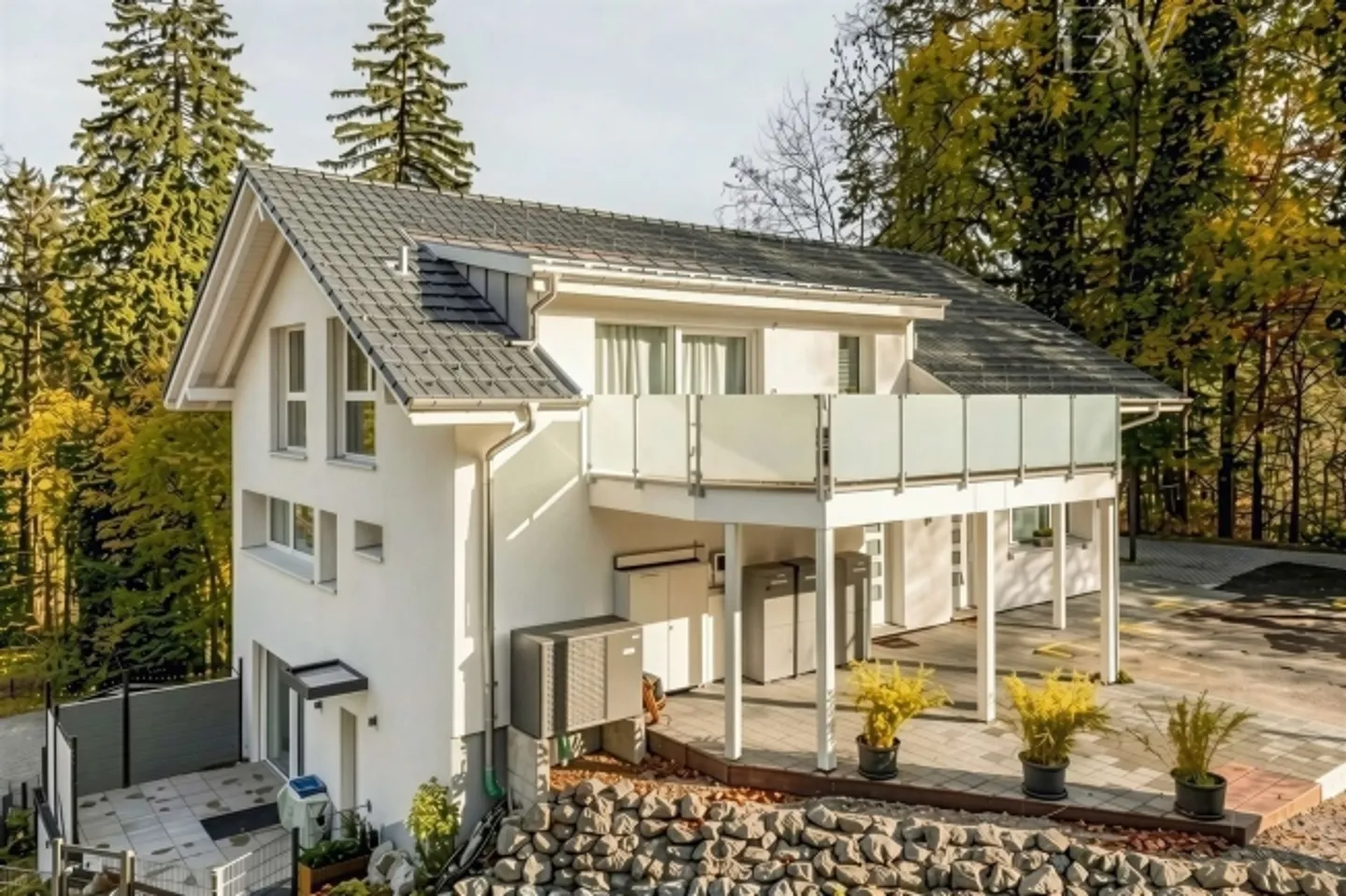 In affitto - Salone per cani ben attrezzato a Wimmis, disponibile due giorni a settimana - Foto 1 di 7