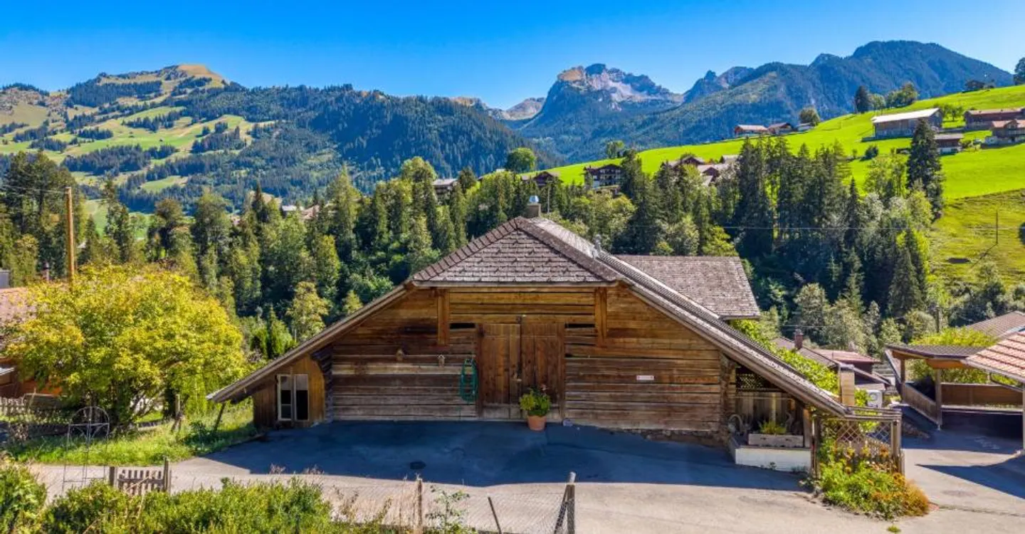 Simmental Farmhouse with Two Apartments and Free Mountain View - Photo 2 of 11