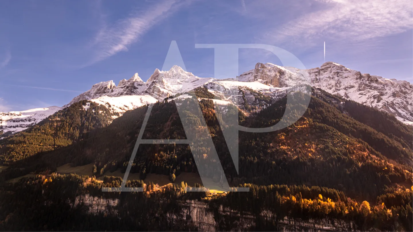 Chalet 7.5 rooms - Photo 5 of 6