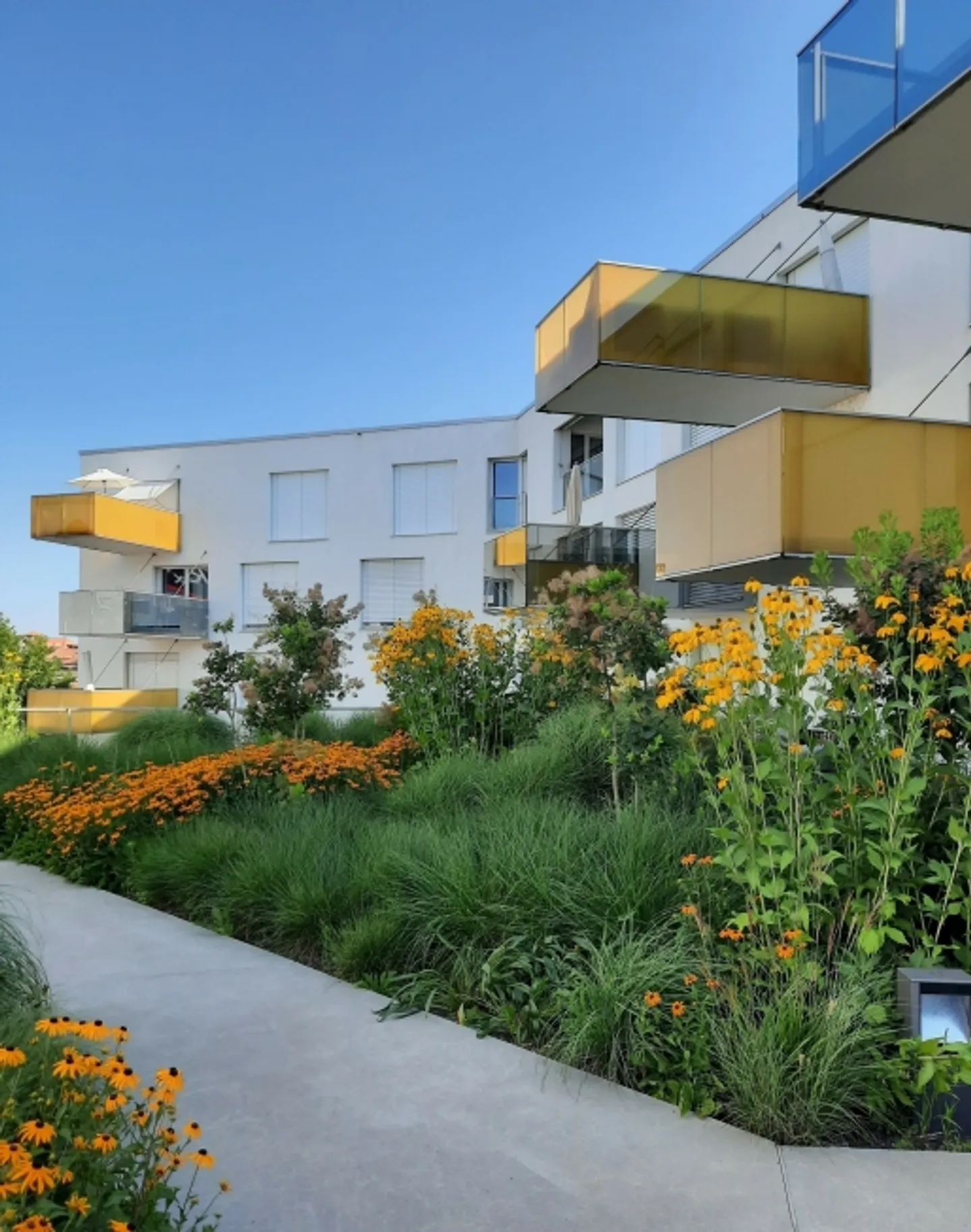 Your dream apartment in the heart of Thun! - Photo 1 of 8