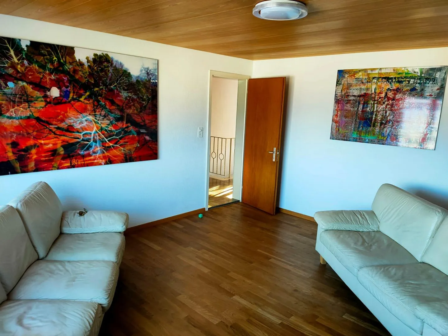 Casa unifamiliare indipendente di 5,5 locali con molta privacy - Foto 23 di 25