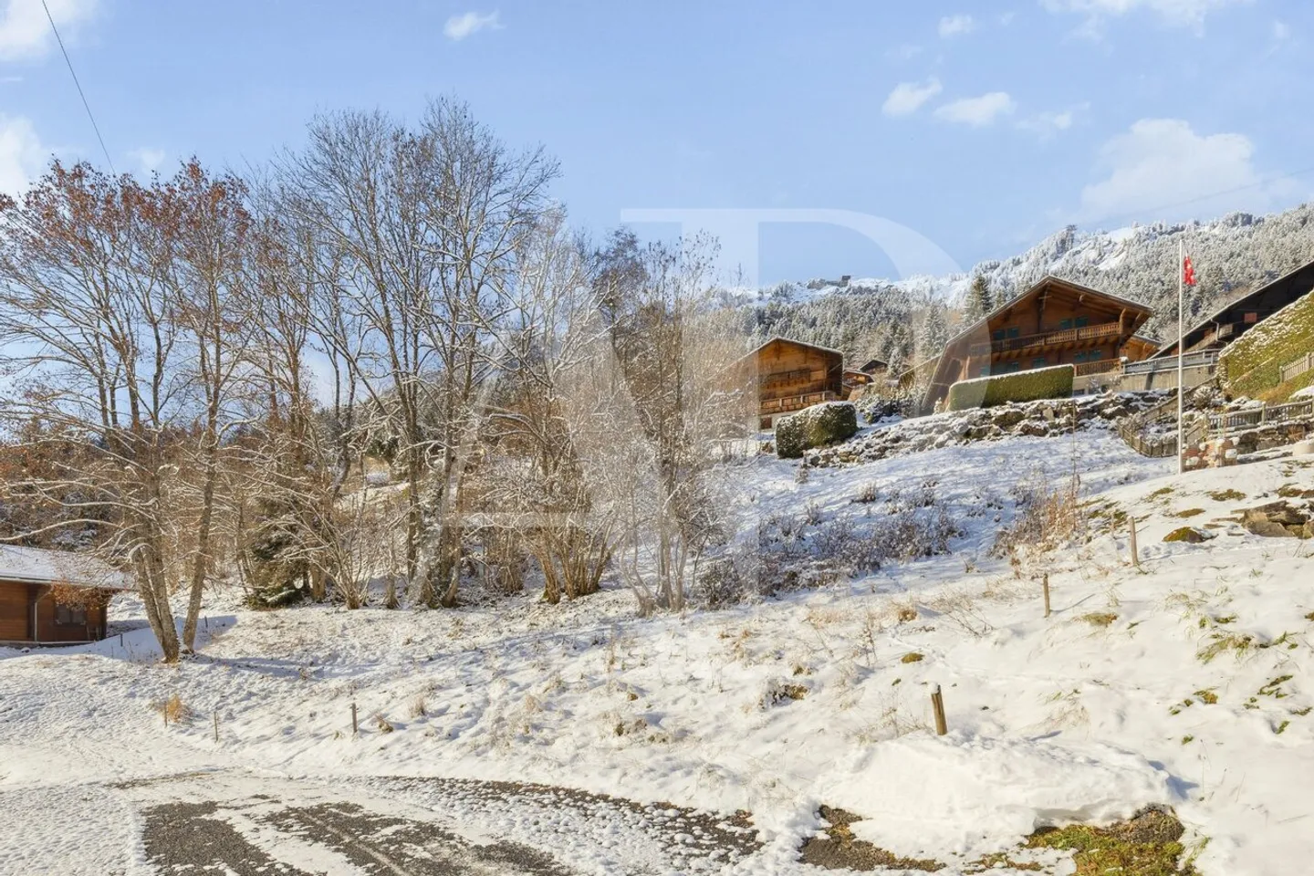 Terreni Eccezionali a Champéry - Foto 2 di 18