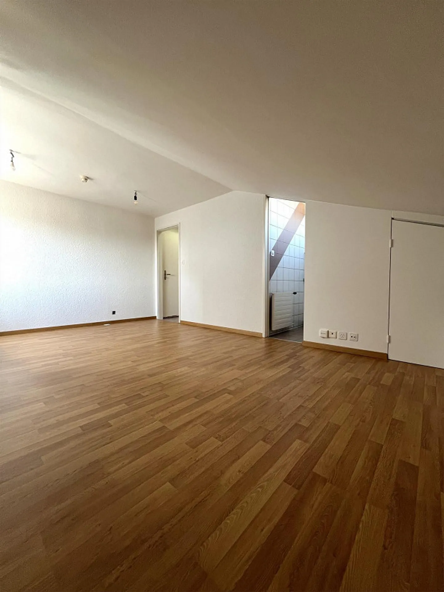 Appartamento accogliente di 1.5 stanze alla periferia di Lucerna - Foto 3 di 6