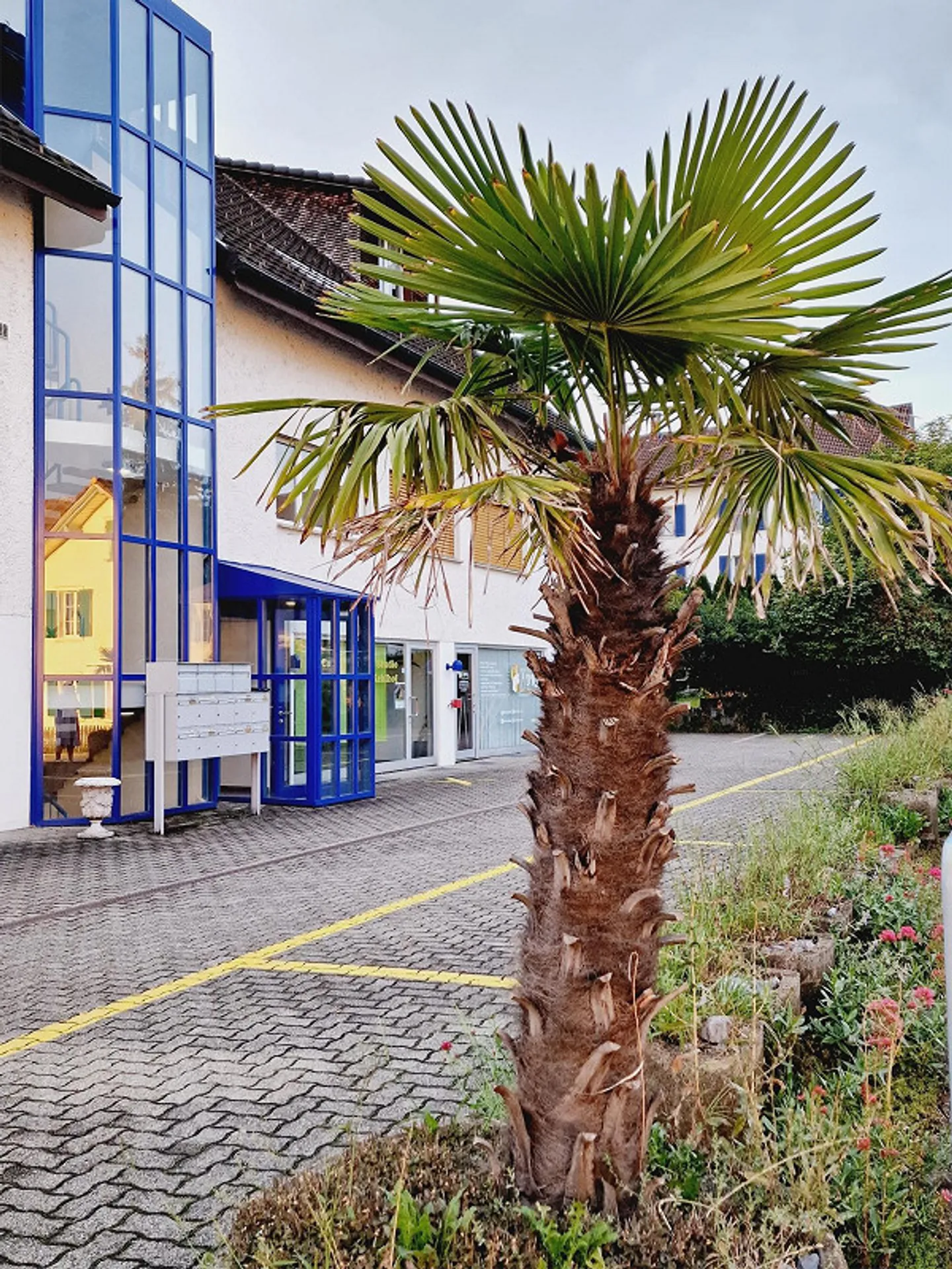 Emplacement de vente attrayant sur la rue principale - Photo 2 sur 3