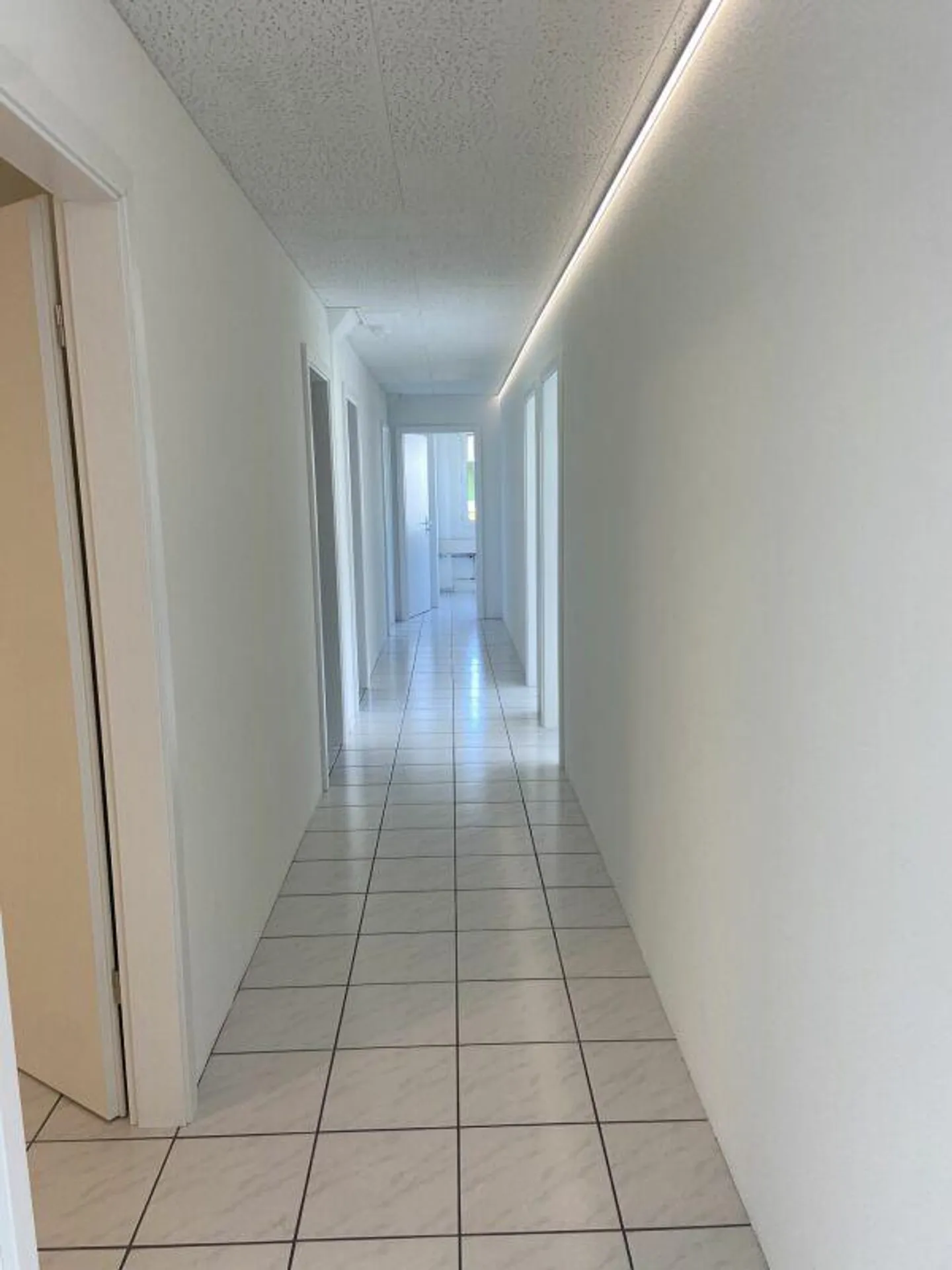 Kleines geschlossenes Büro in Ebikon zu vermieten - Ideal für still... - Foto 4 von 10