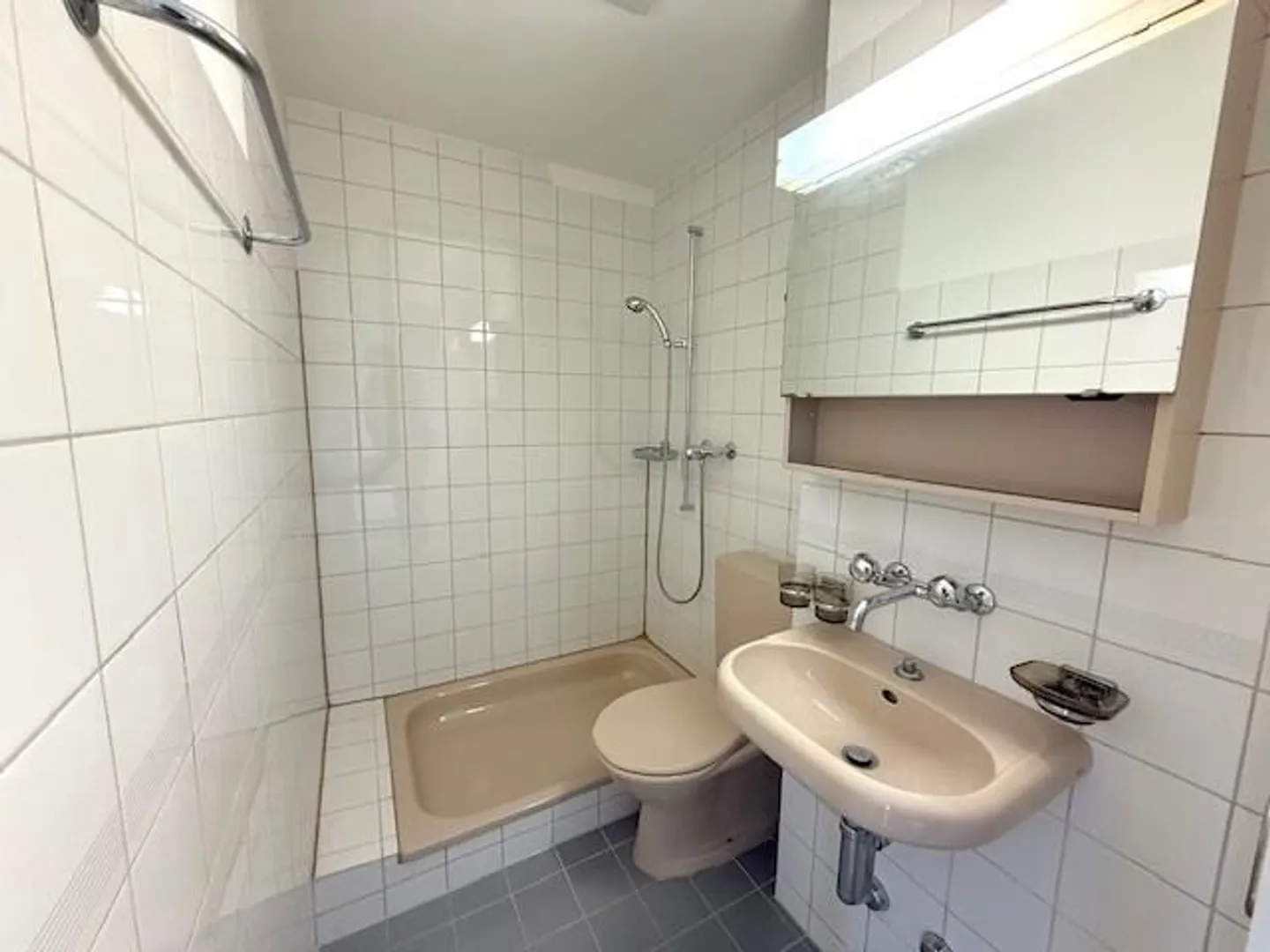 Spring Promotion! 1 Room Apartment for Rent! - Photo 4 of 5