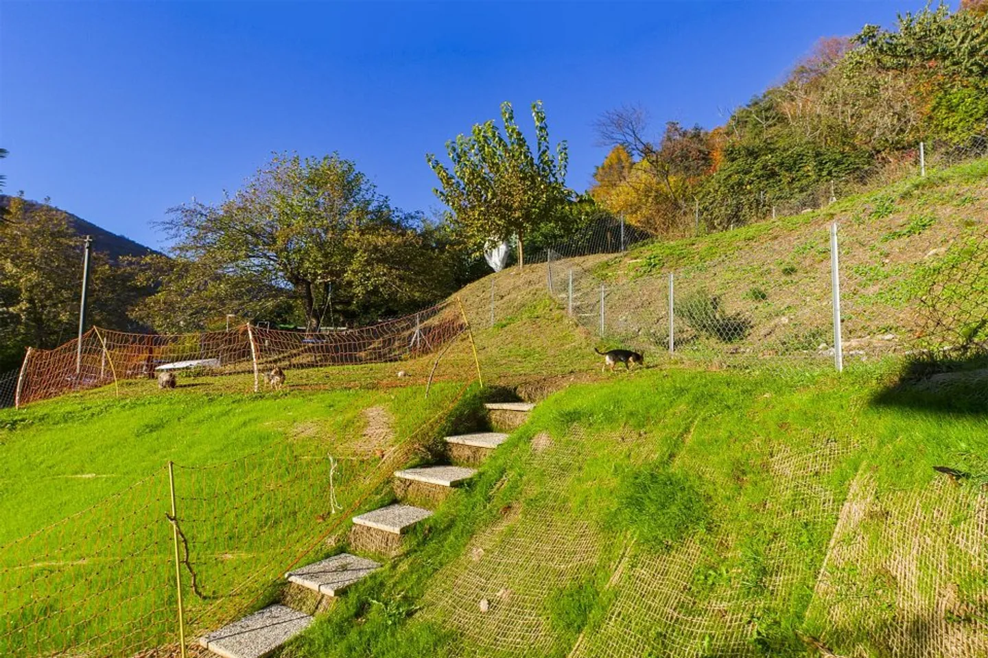 NEGGIO (PRÈS DE VERNATE) : Appartement de jardin lumineux et moderne avec une belle vue - Photo 3 sur 10