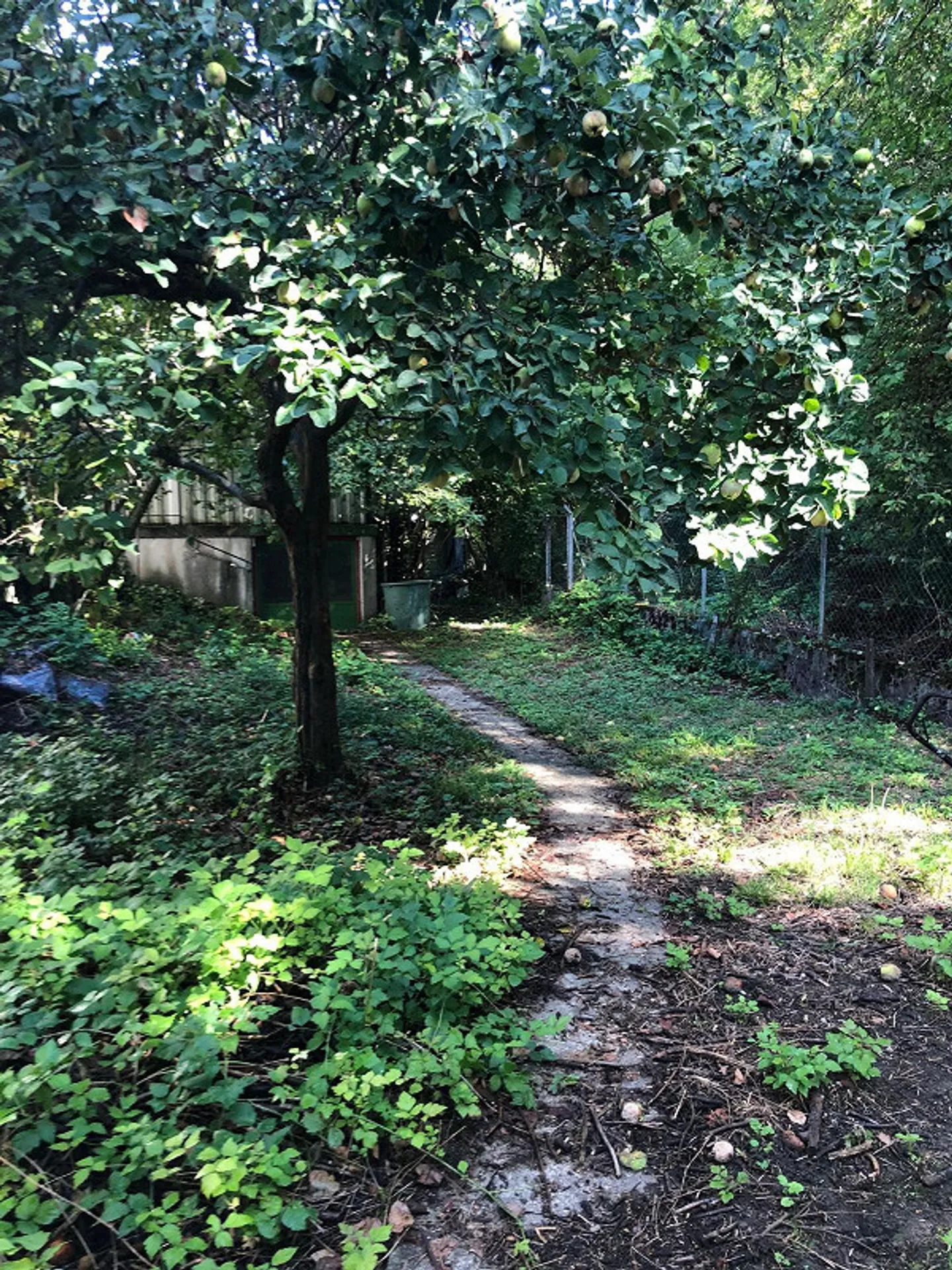 Jardin de 300 m2 avec maison de jardin à Orpund - Photo 1 sur 13