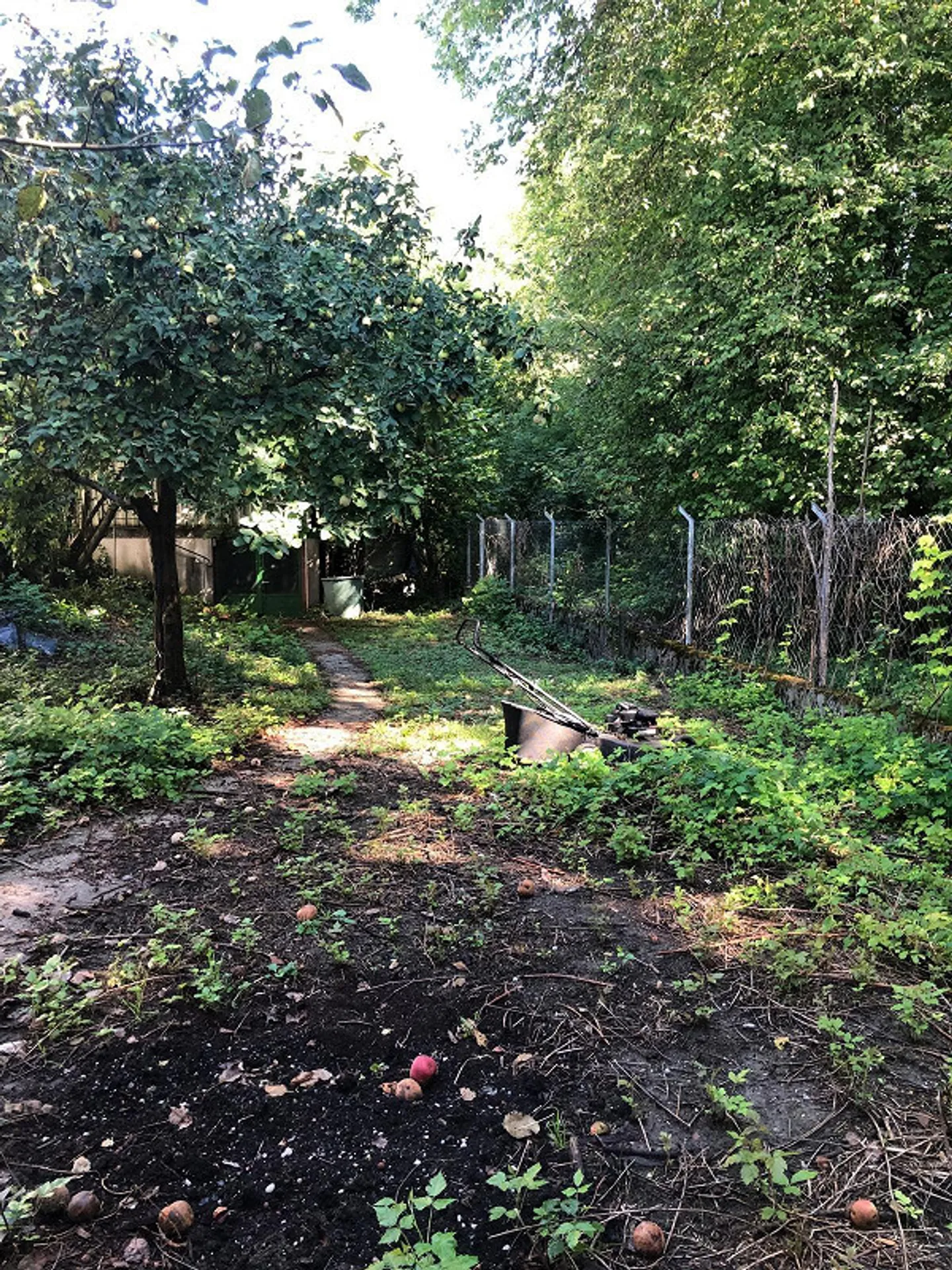 Jardin de 300 m2 avec maison de jardin à Orpund - Photo 4 sur 13