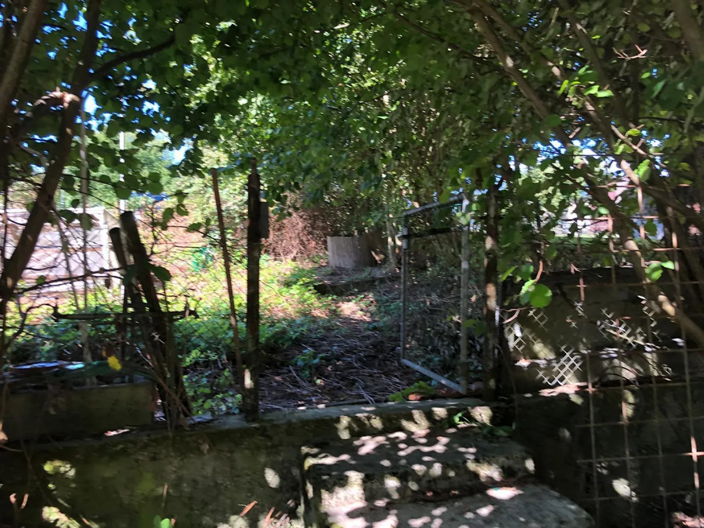 Jardin de 300 m2 avec maison de jardin à Orpund - Photo 5 sur 13