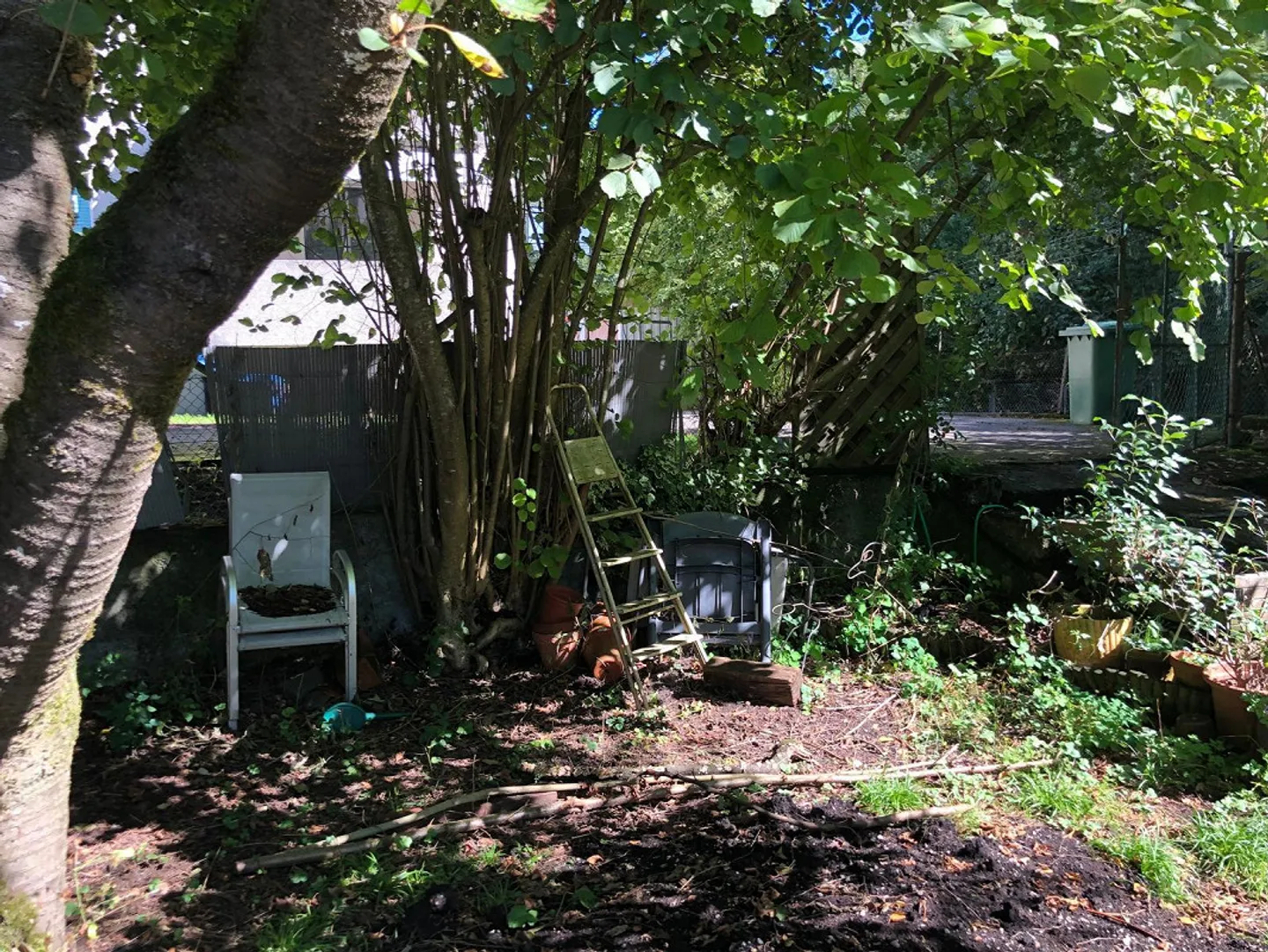 Jardin de 300 m2 avec maison de jardin à Orpund - Photo 7 sur 13