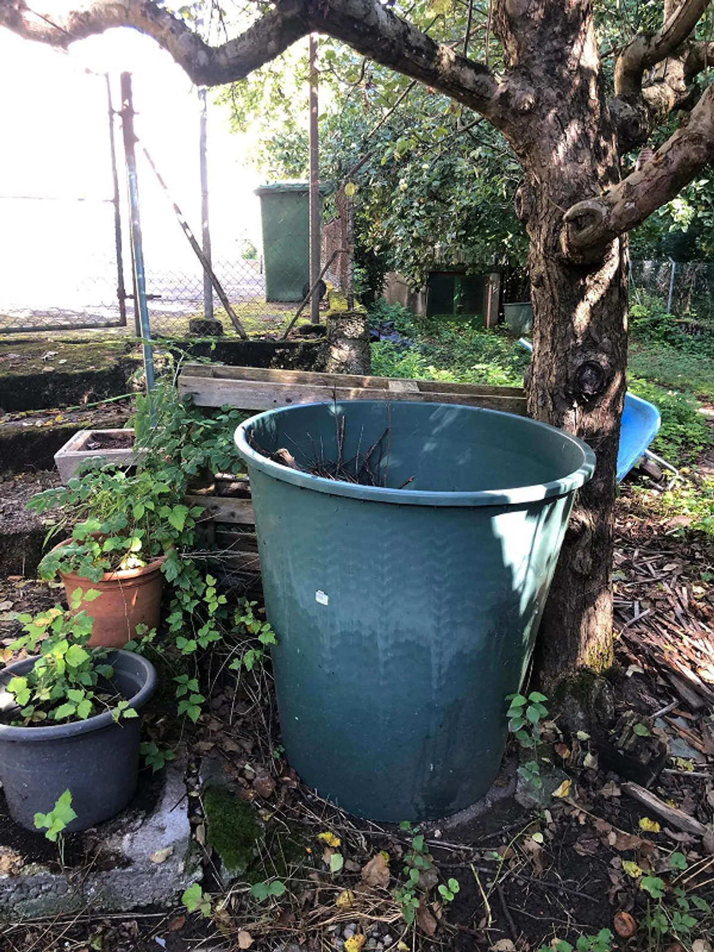 Jardin de 300 m2 avec maison de jardin à Orpund - Photo 10 sur 13