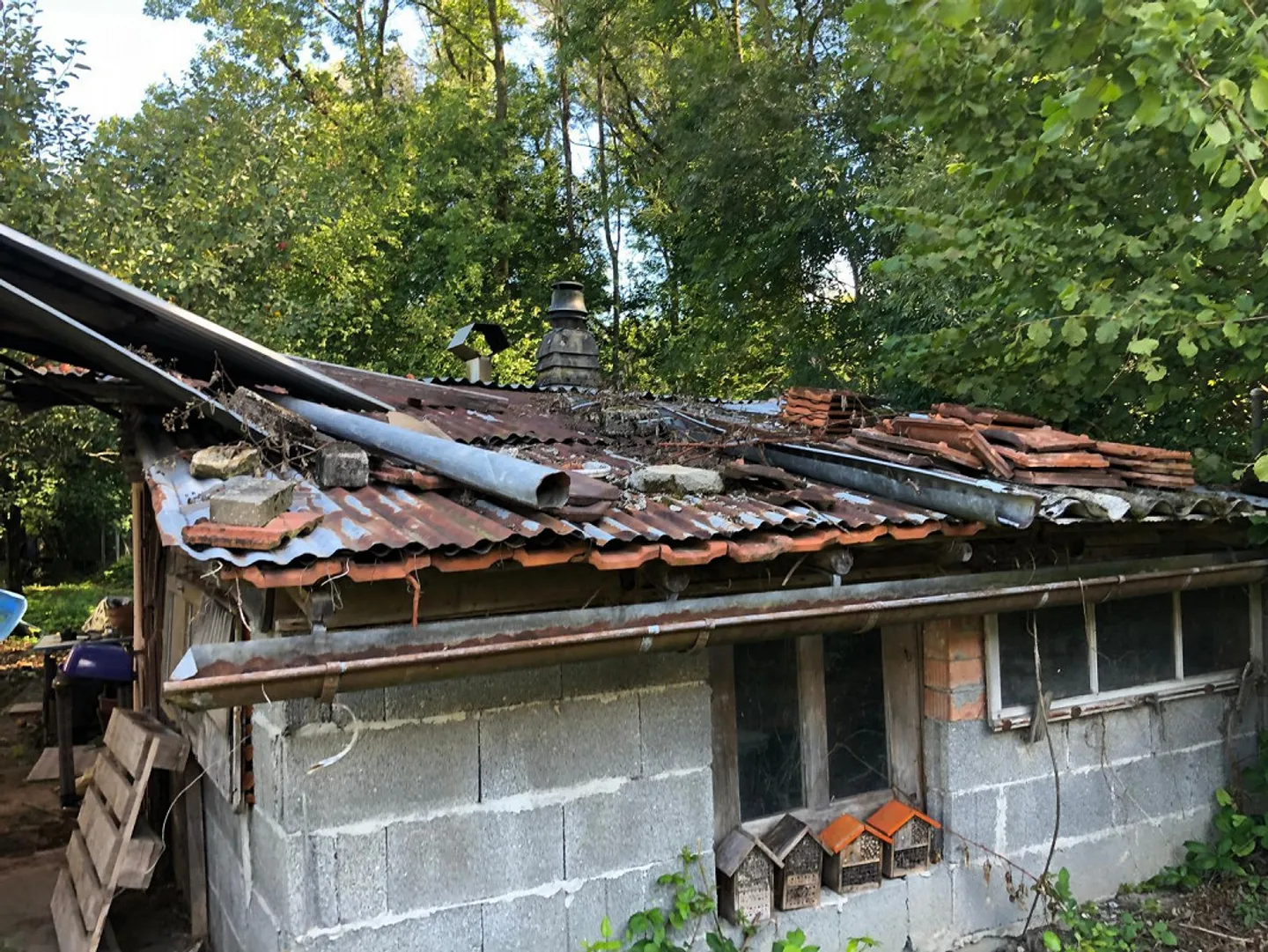 Jardin de 300 m2 avec maison de jardin à Orpund - Photo 12 sur 13