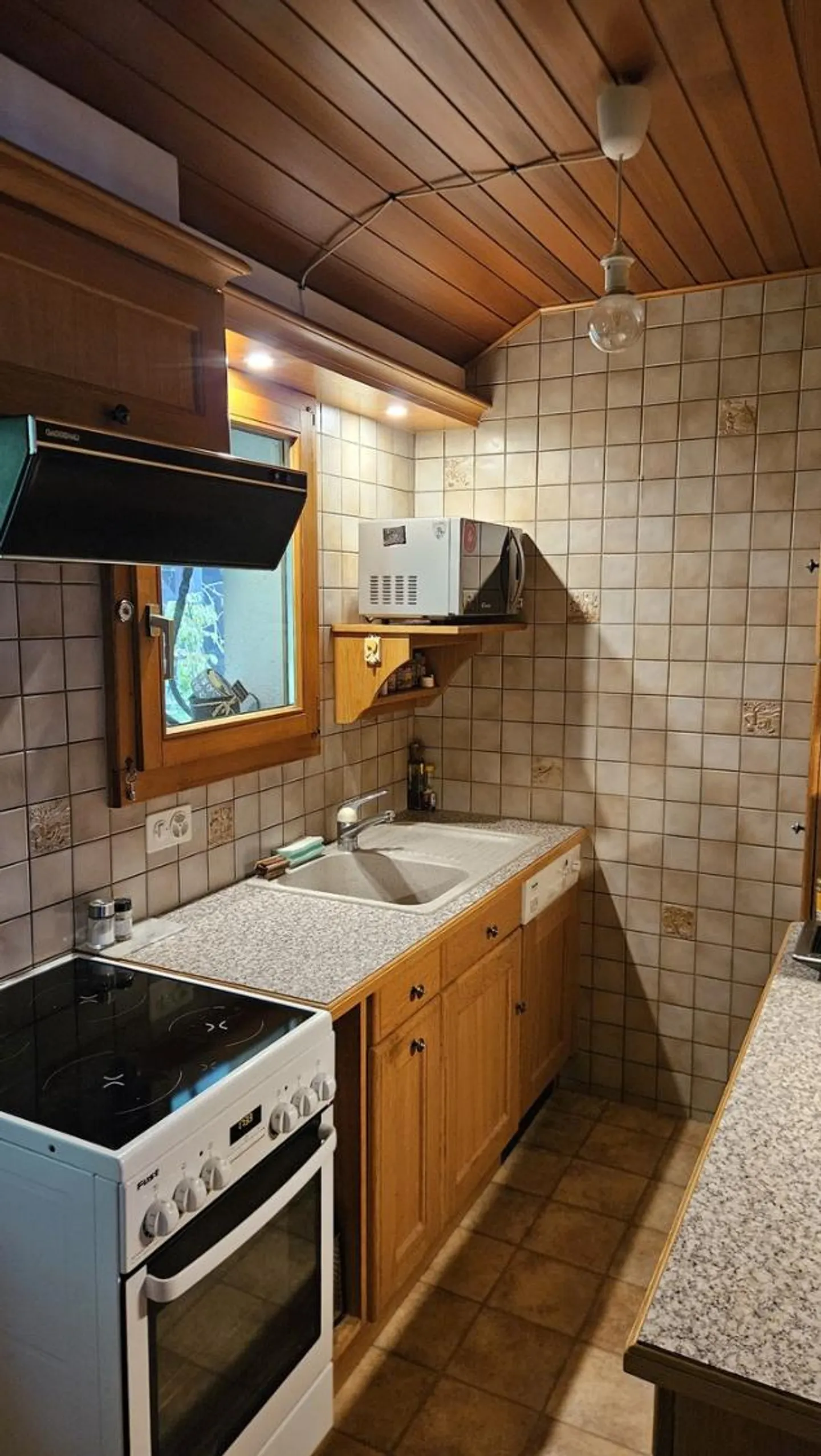Chalet with 3.5 rooms, at the edge of the forest - Photo 5 of 7