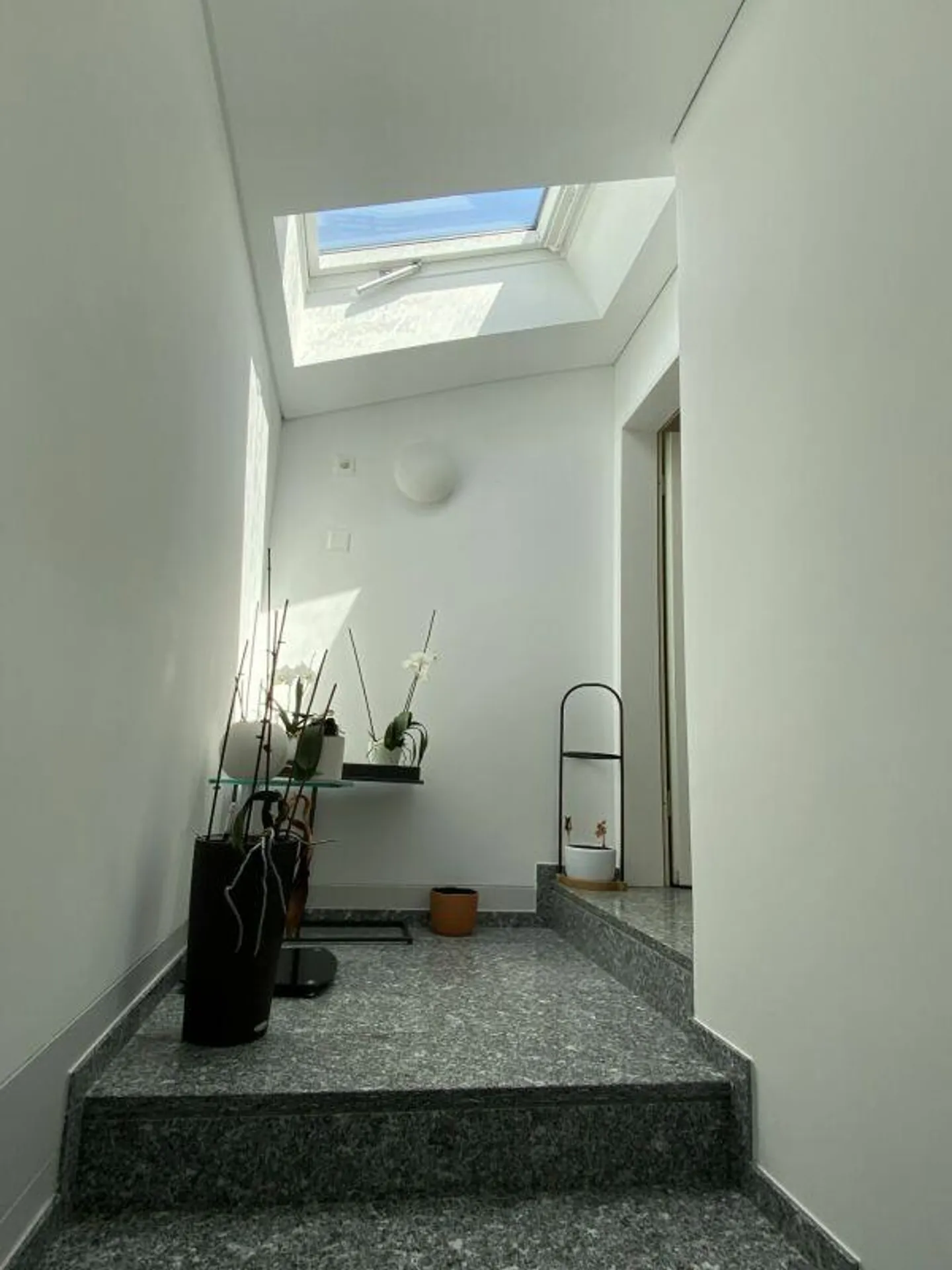 VENDESI A TENERO - Splendido attico con terrazzo privato di 92 m² - Foto 5 von 25