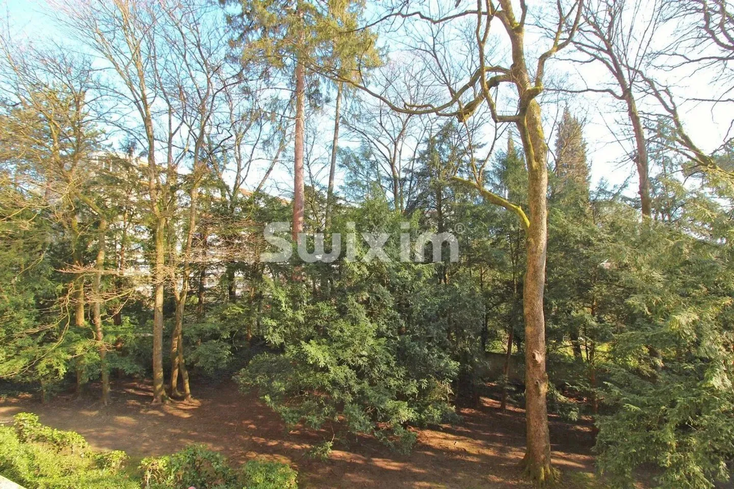 Silenzioso e verde - Foto 1 di 7