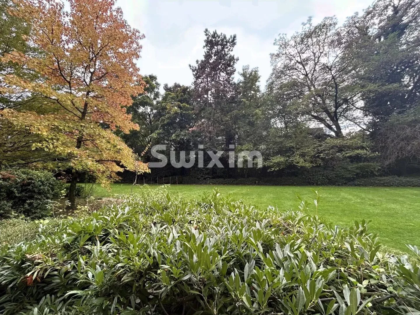 Silenzioso e verde - Foto 7 di 7