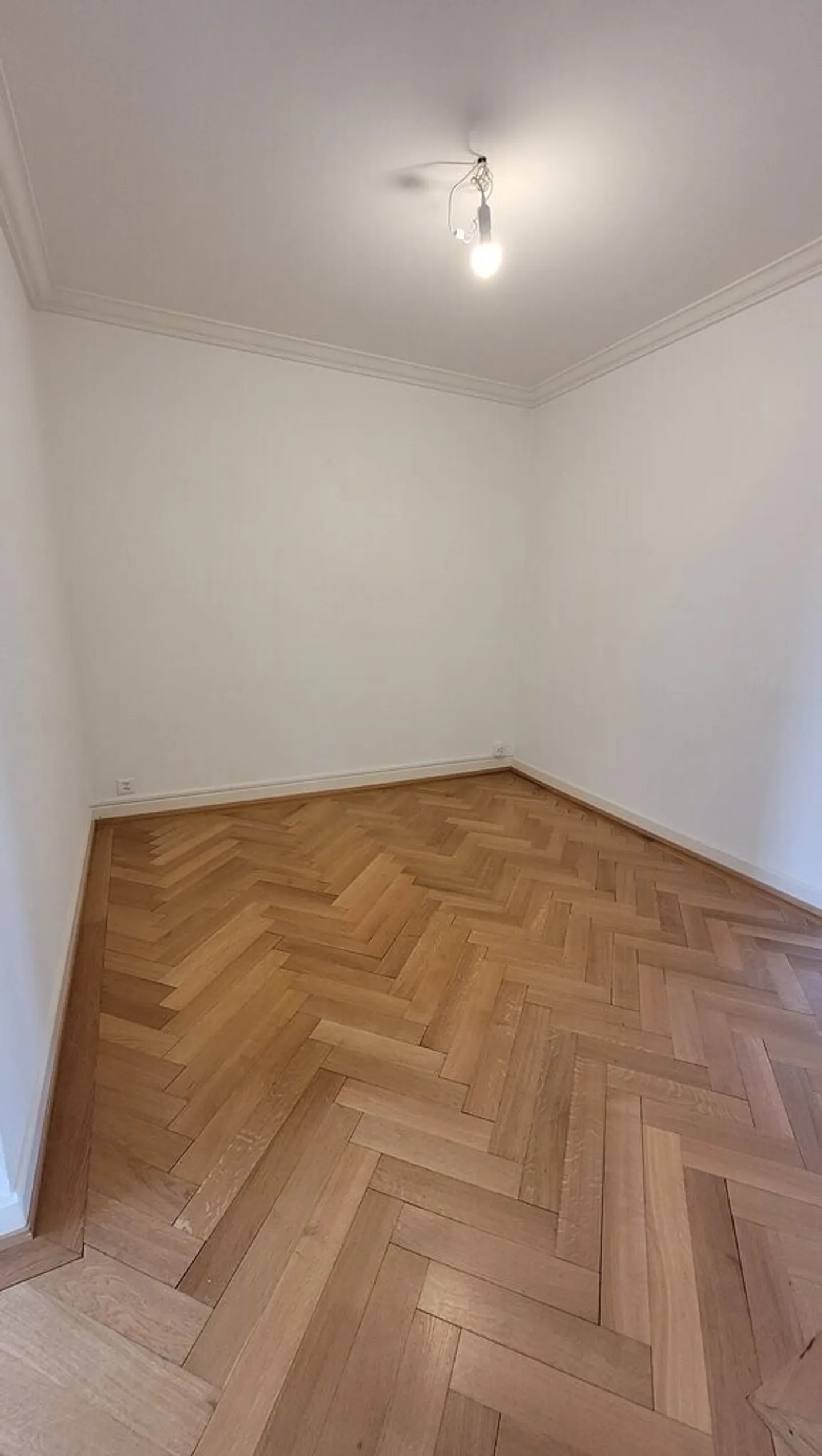 To seize! Magnificent apartment close to downtown Geneva! - Photo 4 of 6